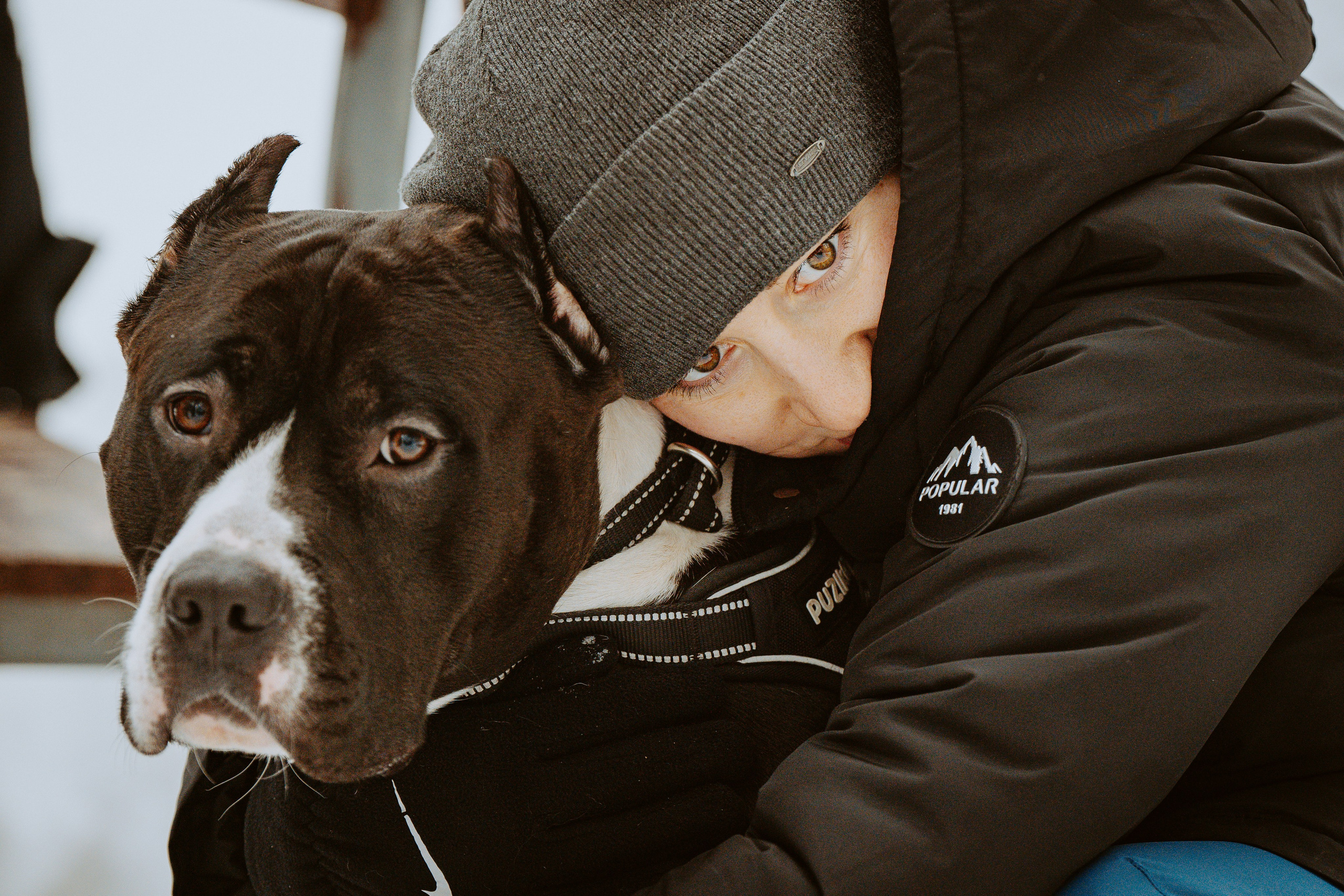 Дог трекинг. Фотограф анималист в Спб недорого Олеся Майорова