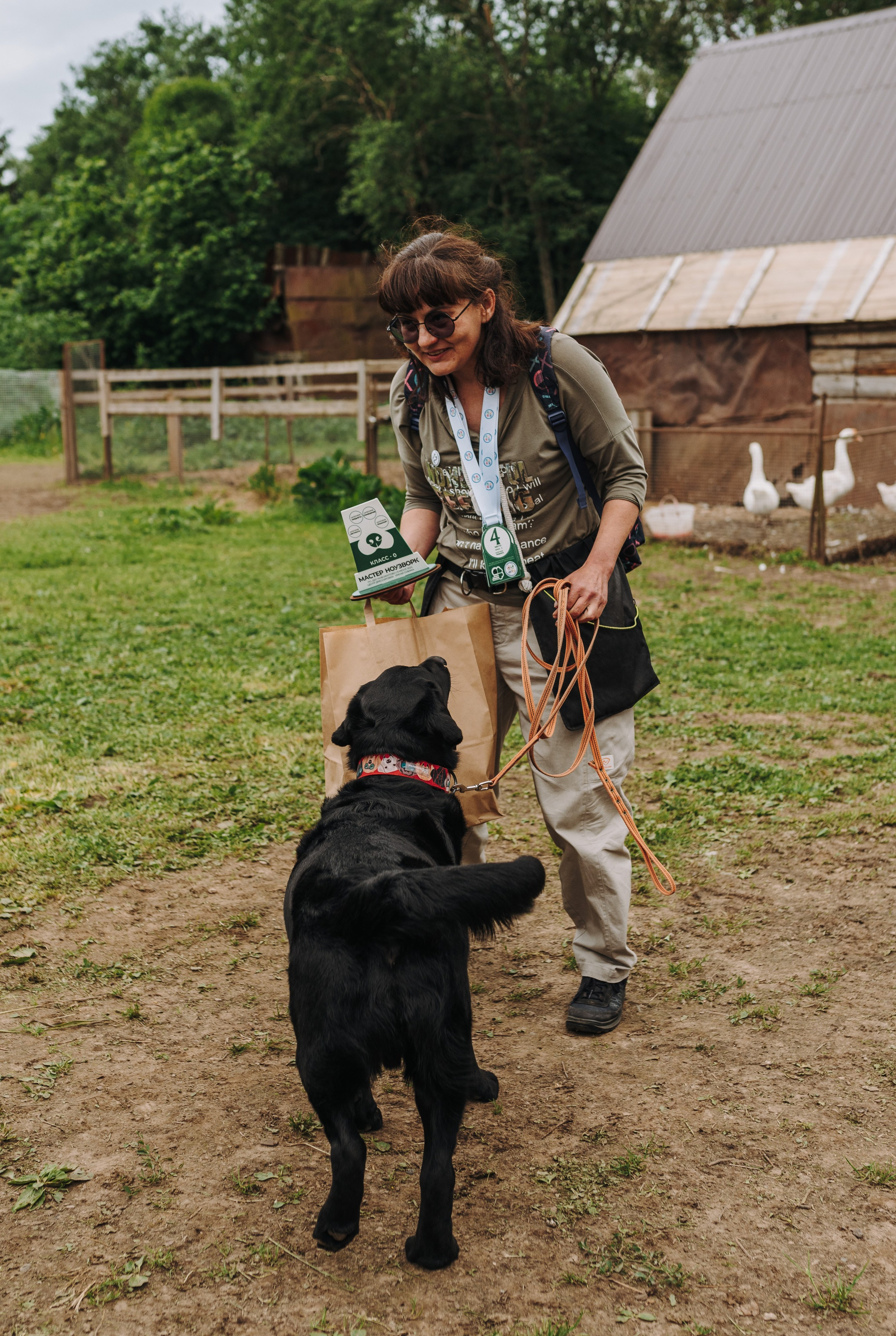 Соревнования по ноузворку. Фотограф анималист в Спб недорого Олеся Майорова