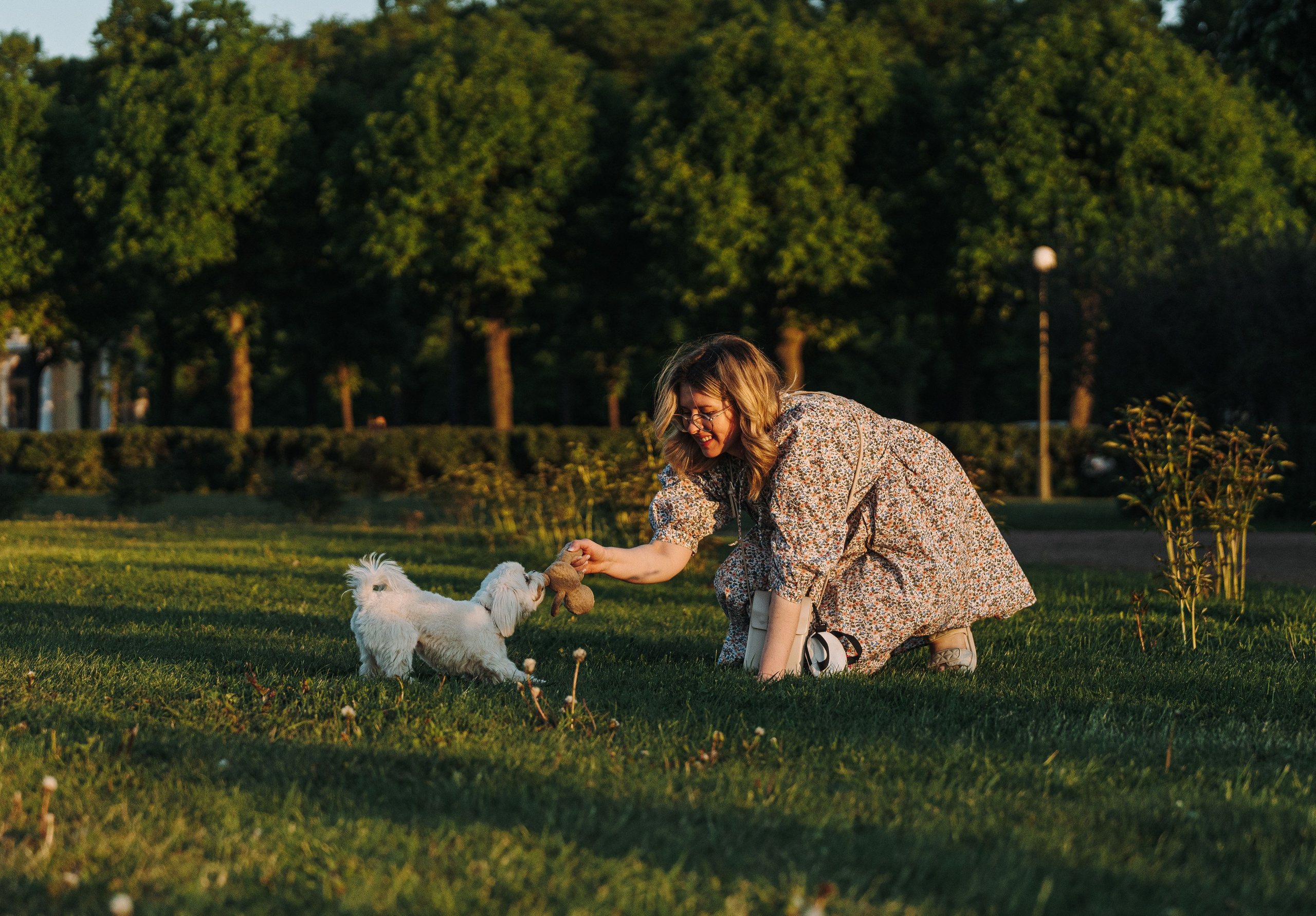 Фотосессия с питомцем в центре Санкт-Петербурга. Фотограф анималист в Спб недорого Олеся Майорова