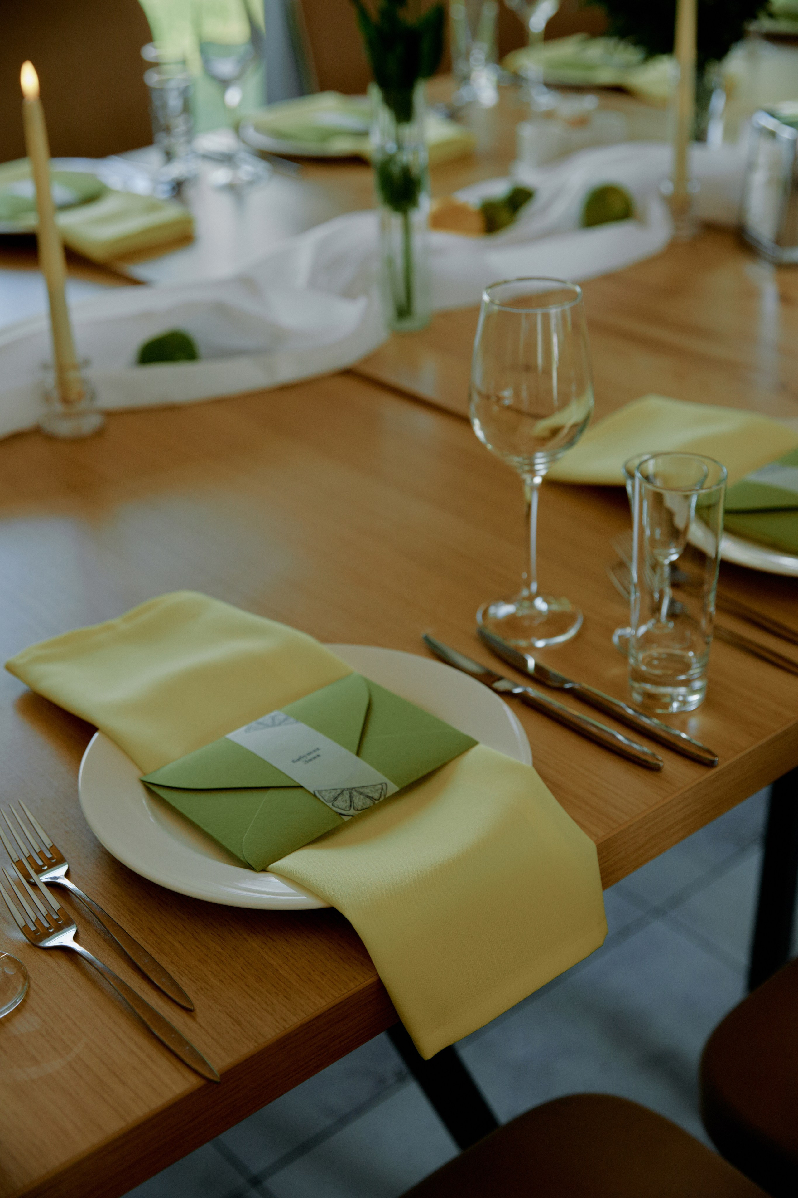 Лаймовое настроение. Фотограф Елена Краснопевцева