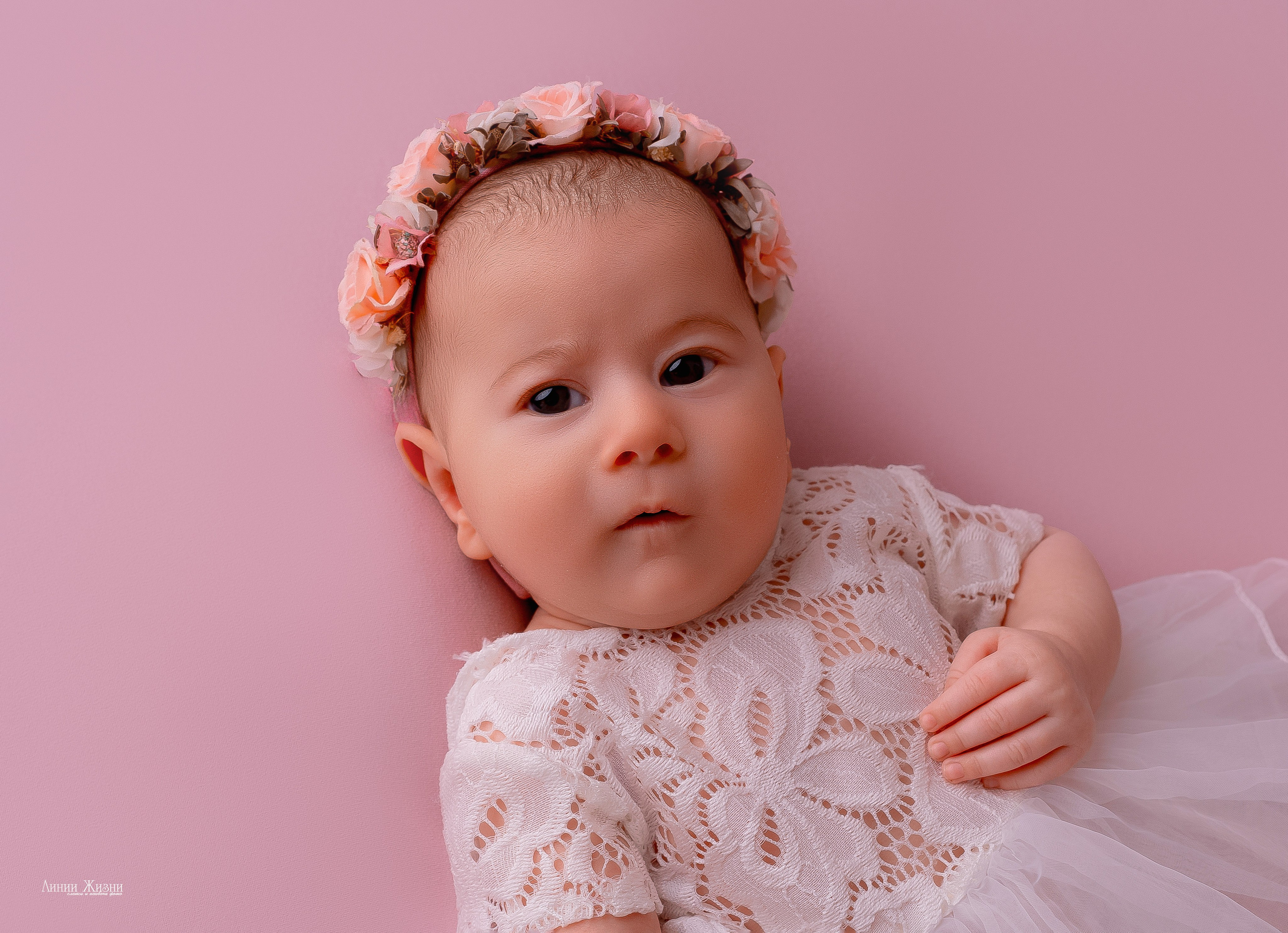 Фотосессии новорожденных студия Линии Жизни. Фотограф новорожденных в Нижнем Новгороде Сергеева Оксана