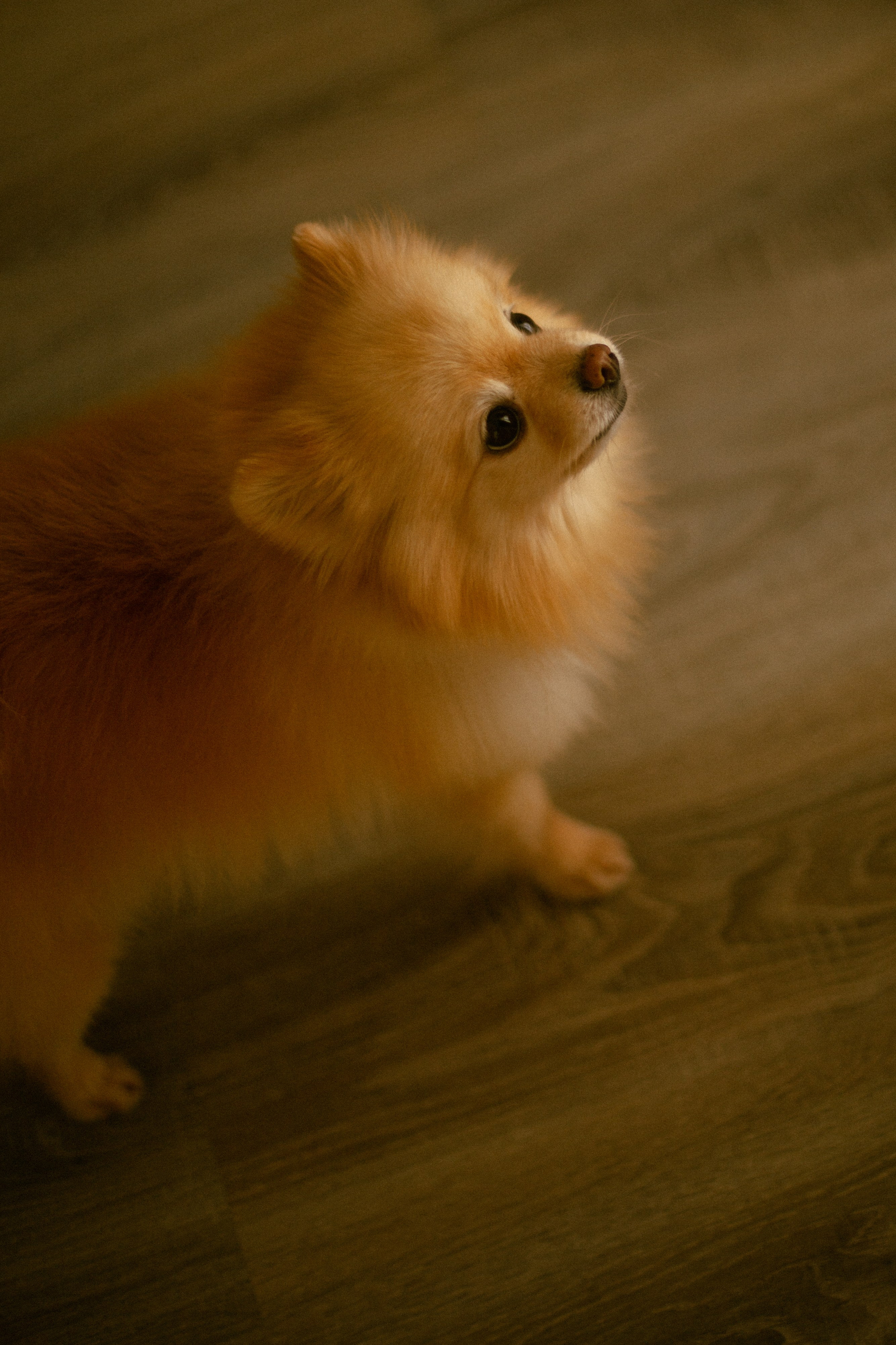 Оля. Свадебный фотограф в Нижнем Новгороде Анна Кузнецова