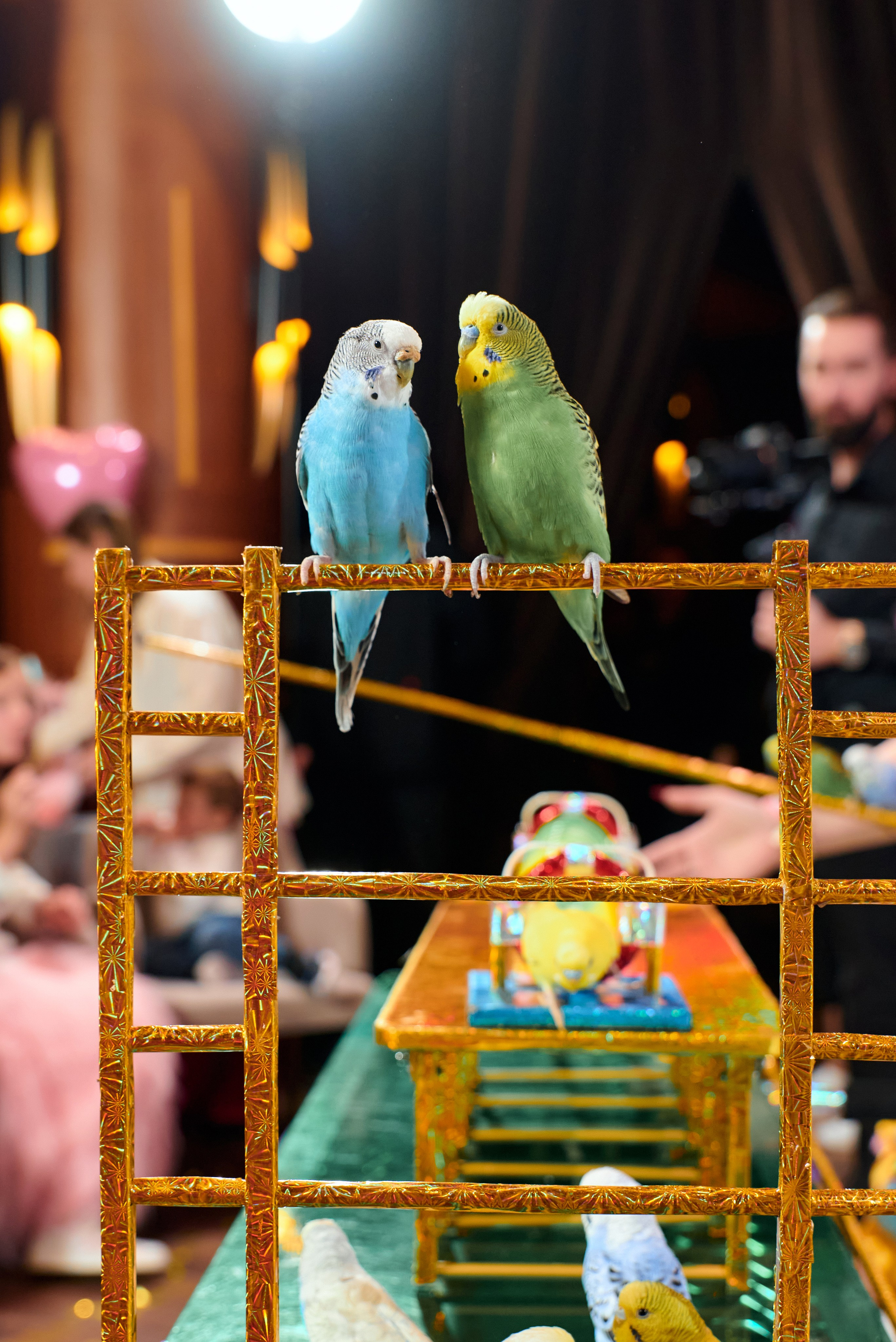 ЕСЕНИЯ. ФОТОГРАФ Кристина Павлова | МОСКВА