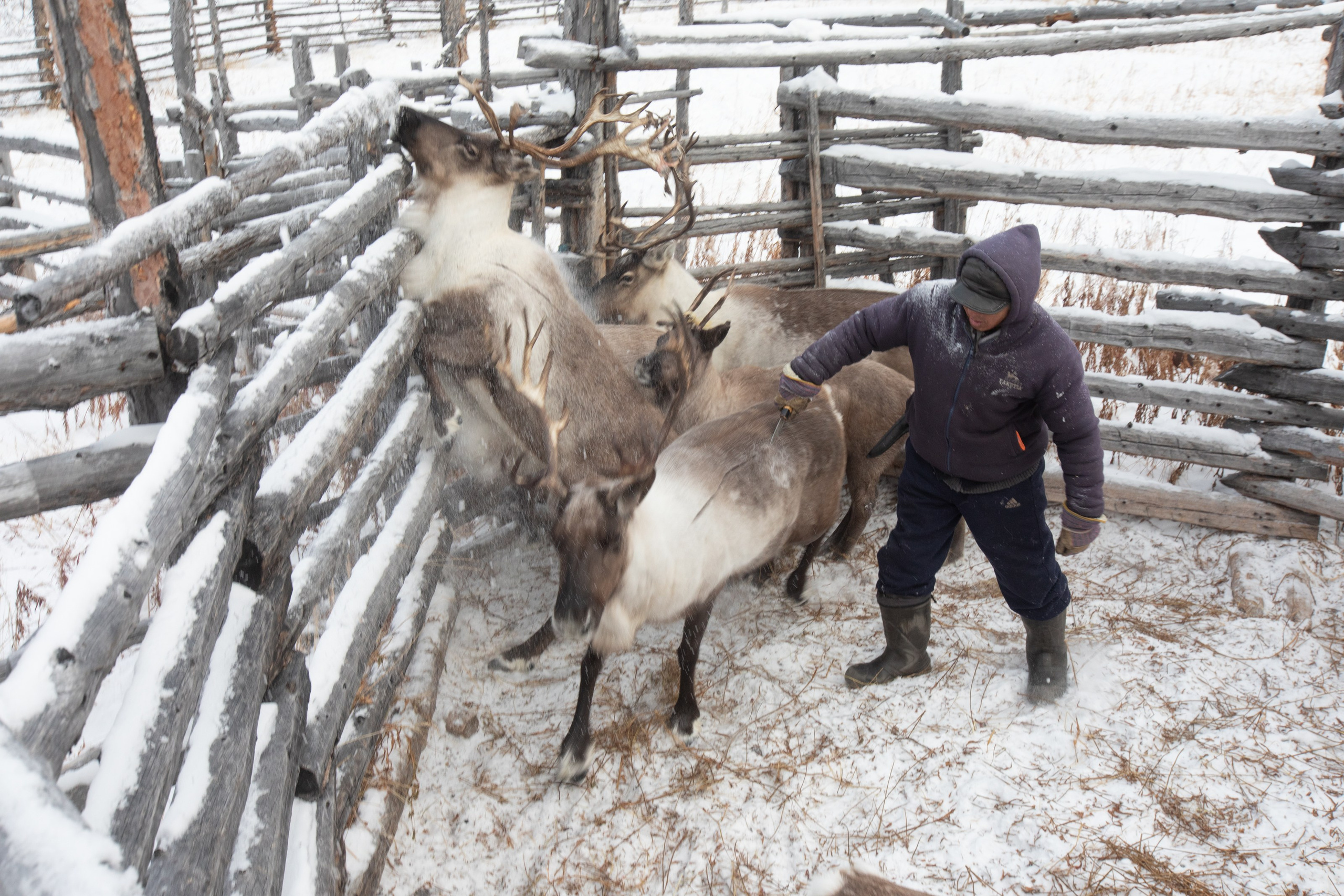 Не забудь накормить озеро. Natalya Madilyan