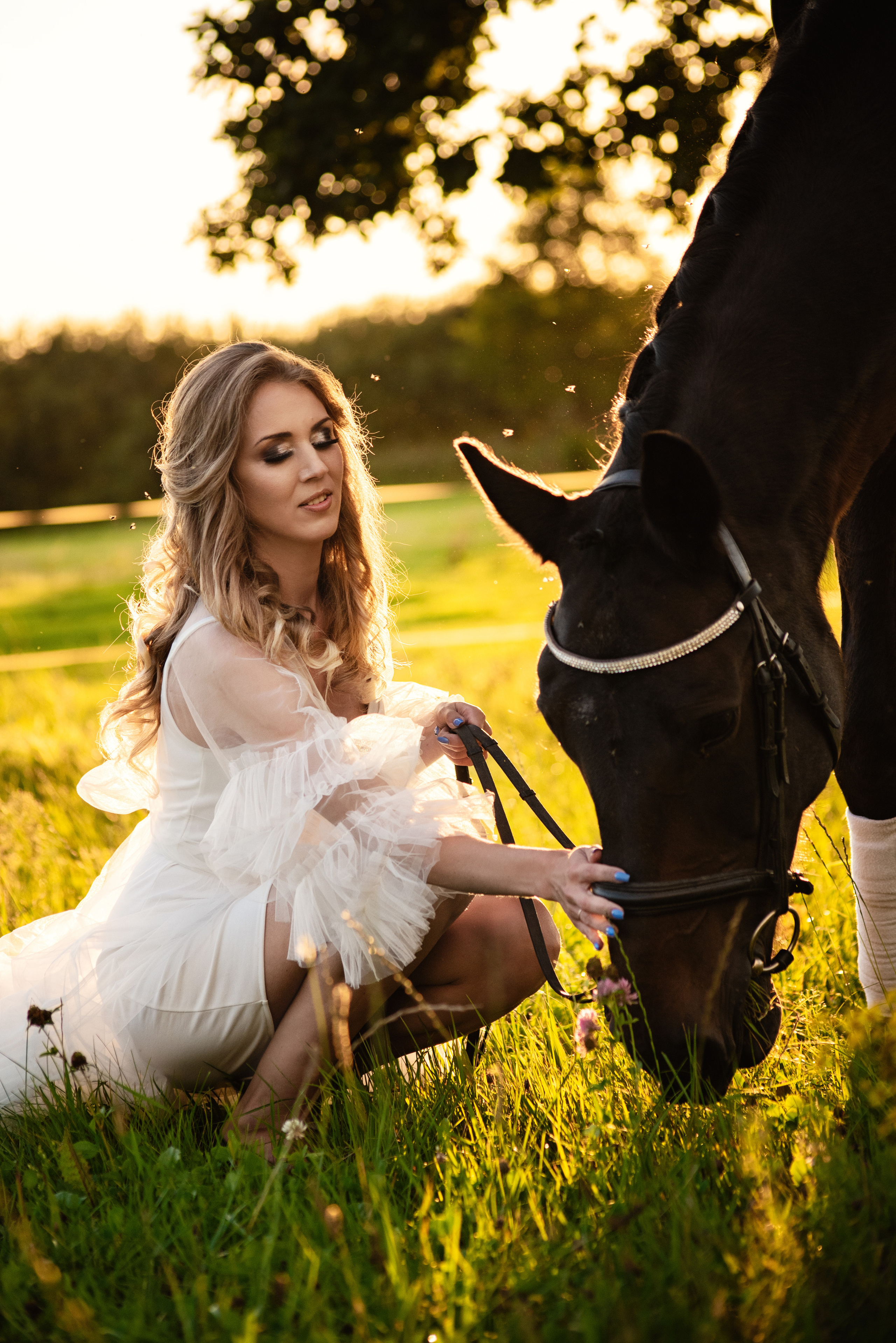 Horse Farm. Главная