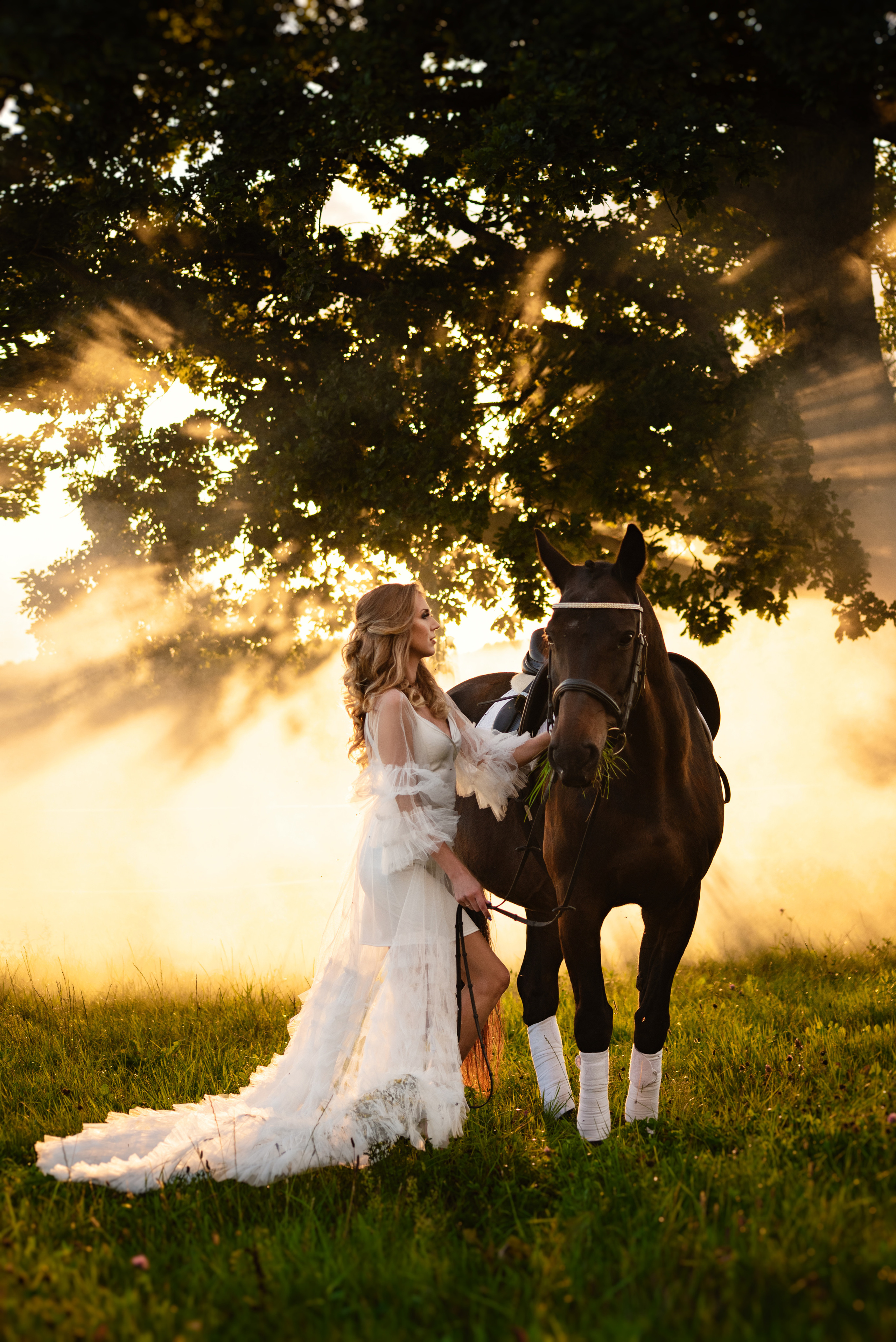 Horse Farm. Главная