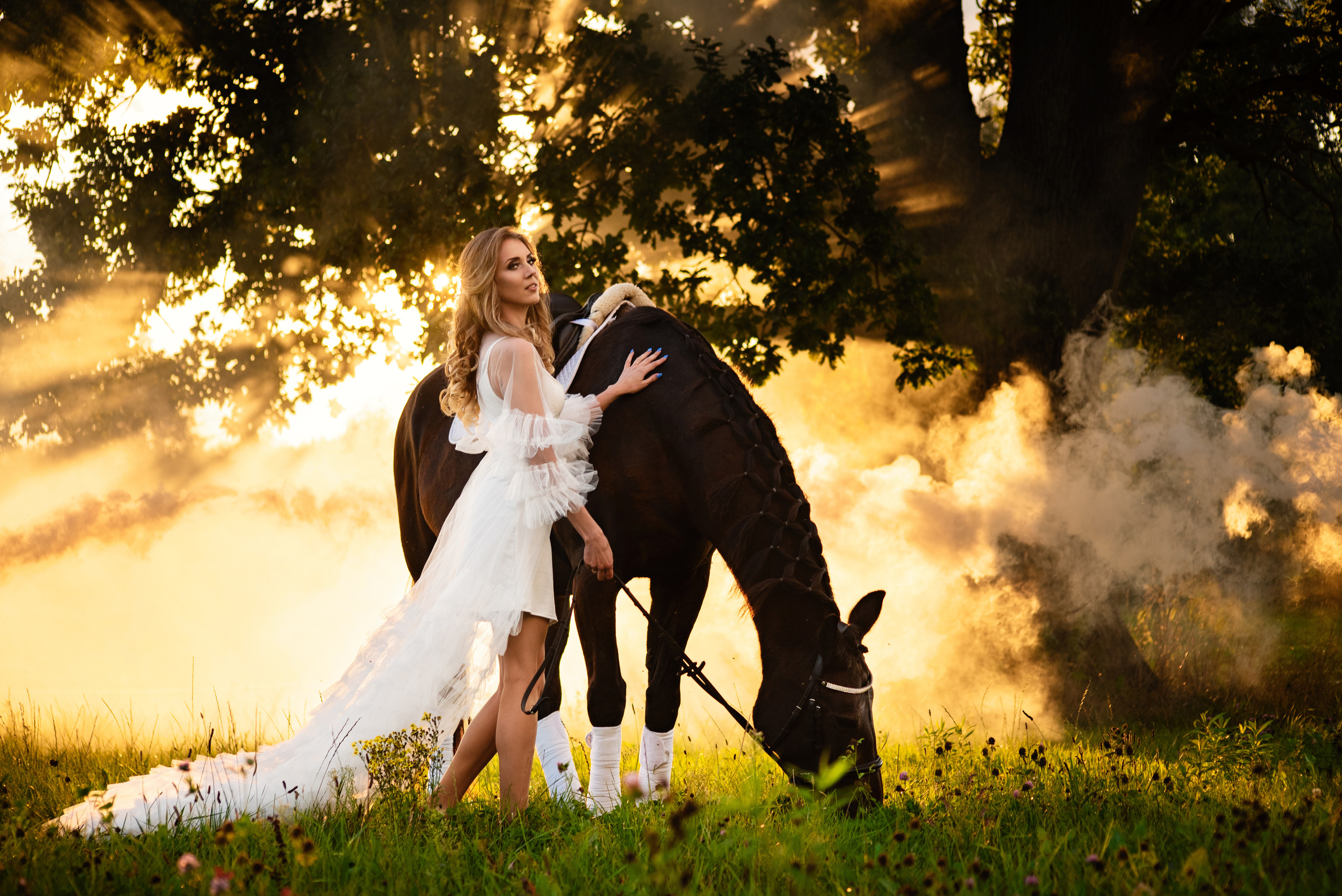 Horse Farm. Главная