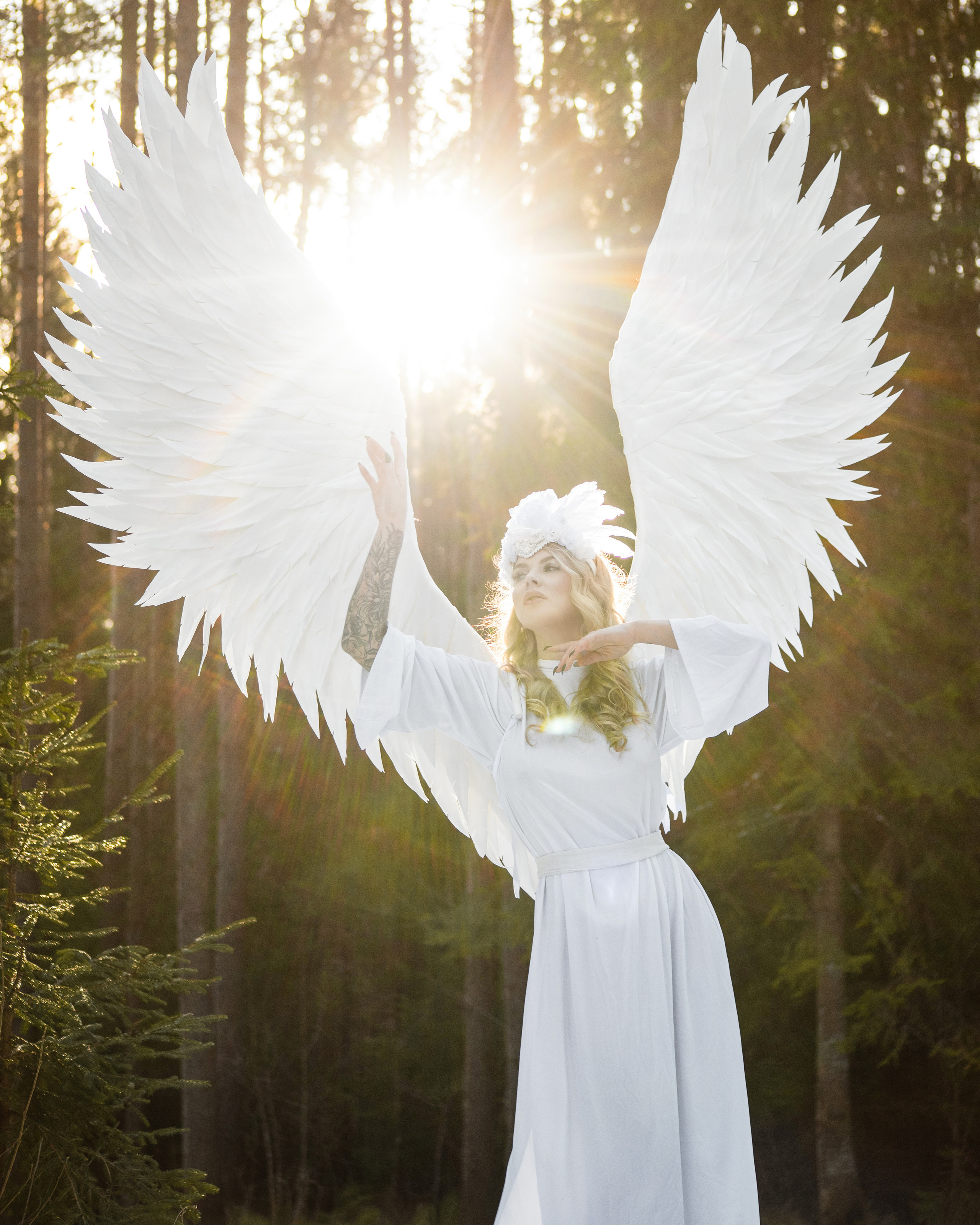 White Snow Angel. Главная