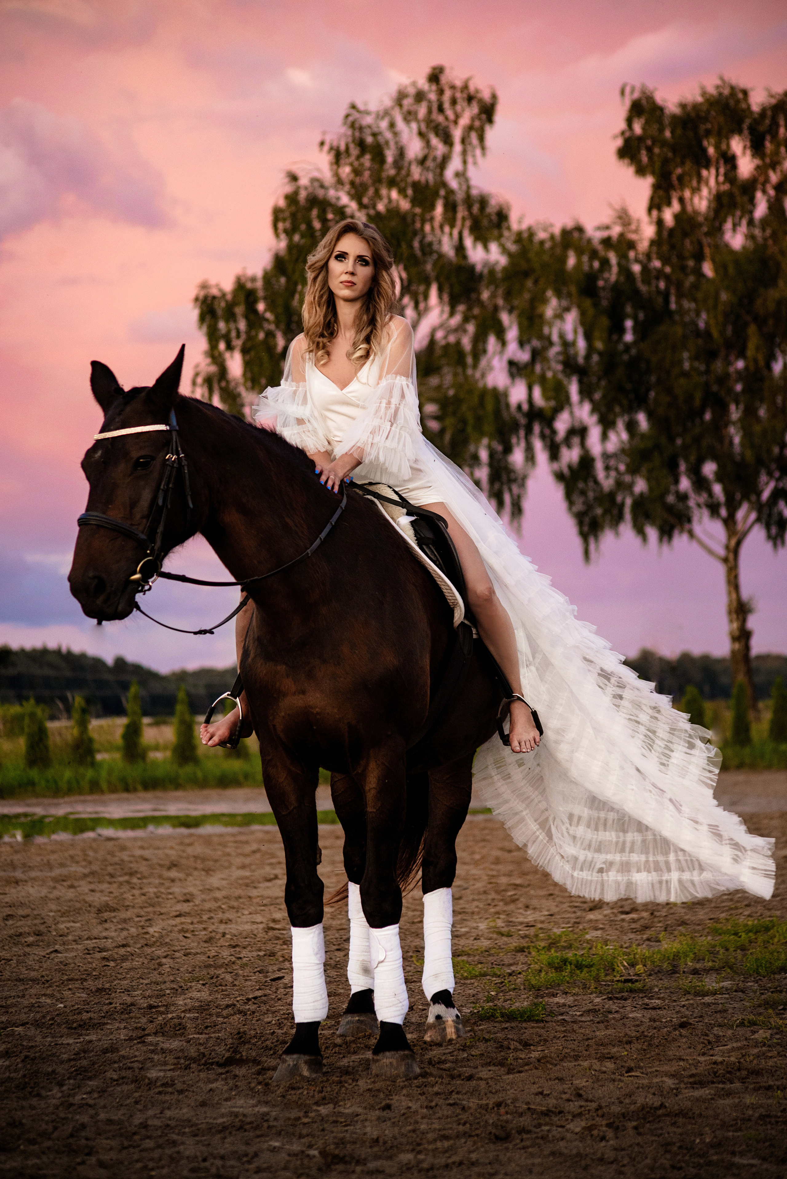 Horse Farm. Главная