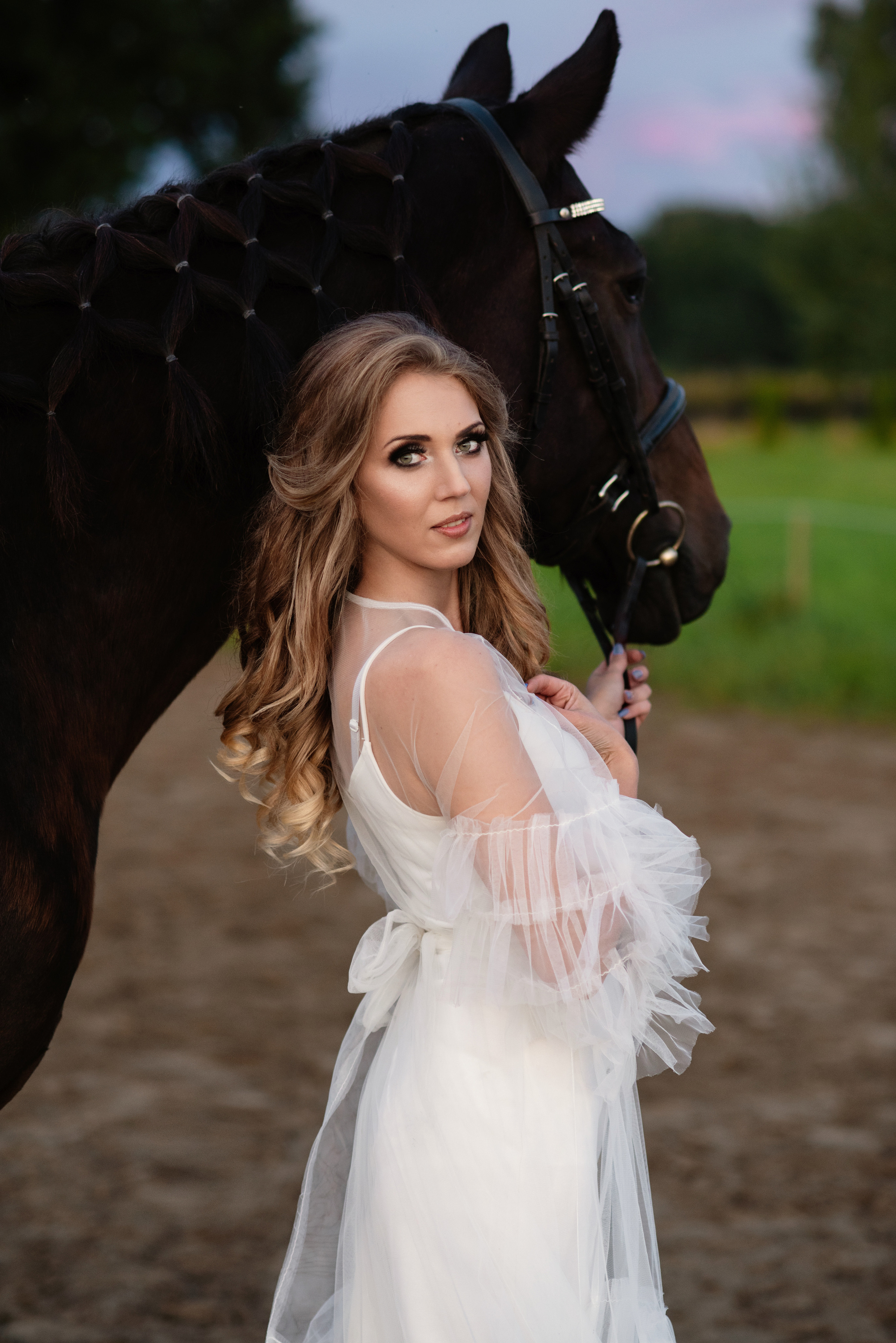 Horse Farm. Главная