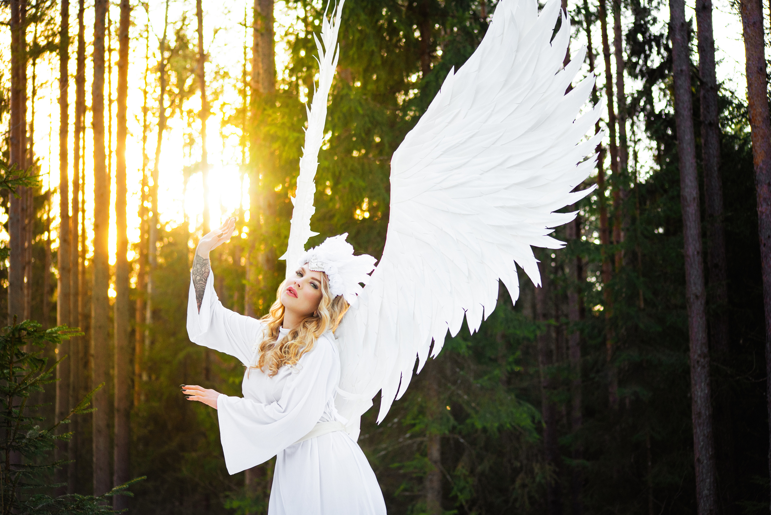 White Snow Angel. Главная