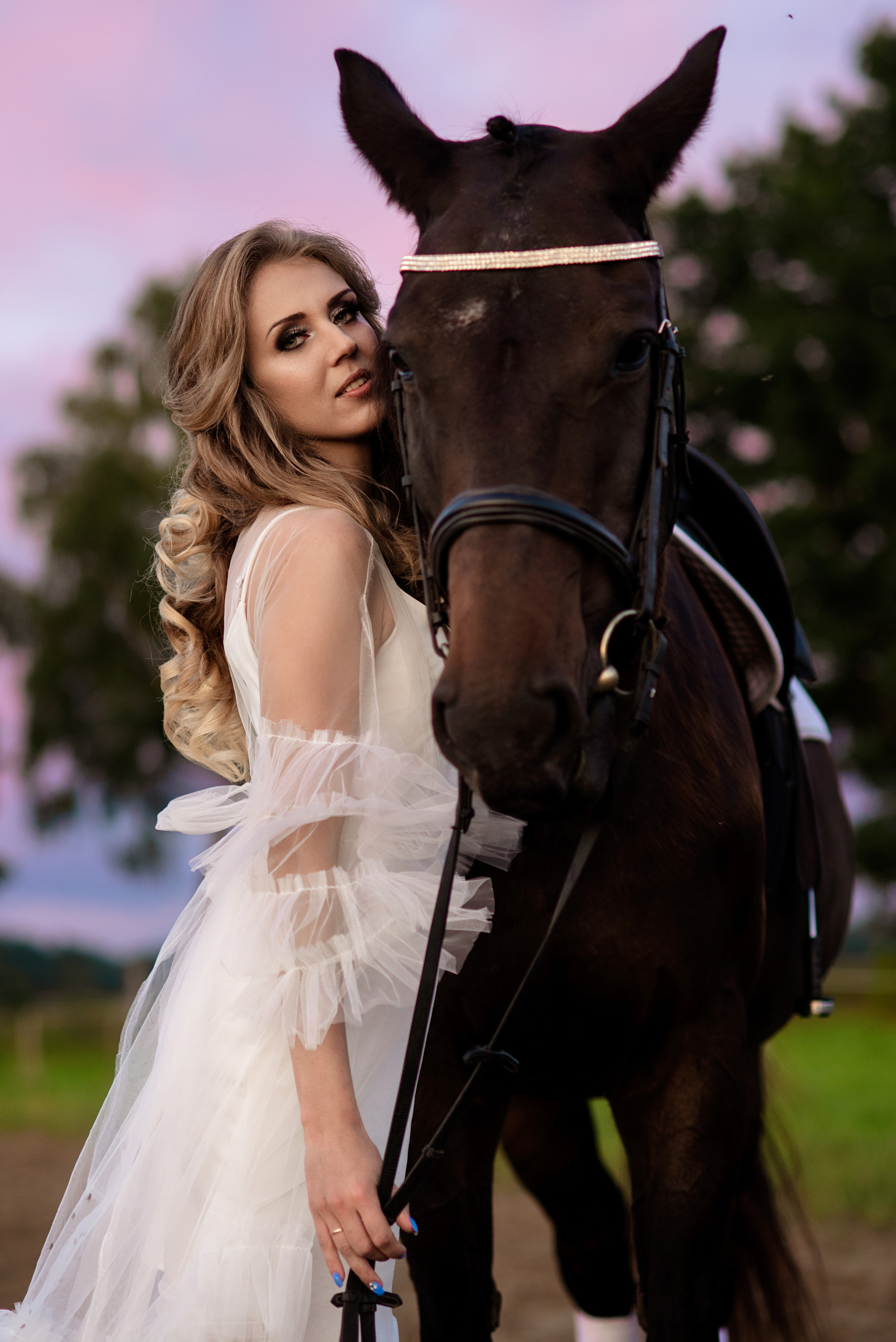 Horse Farm. Главная