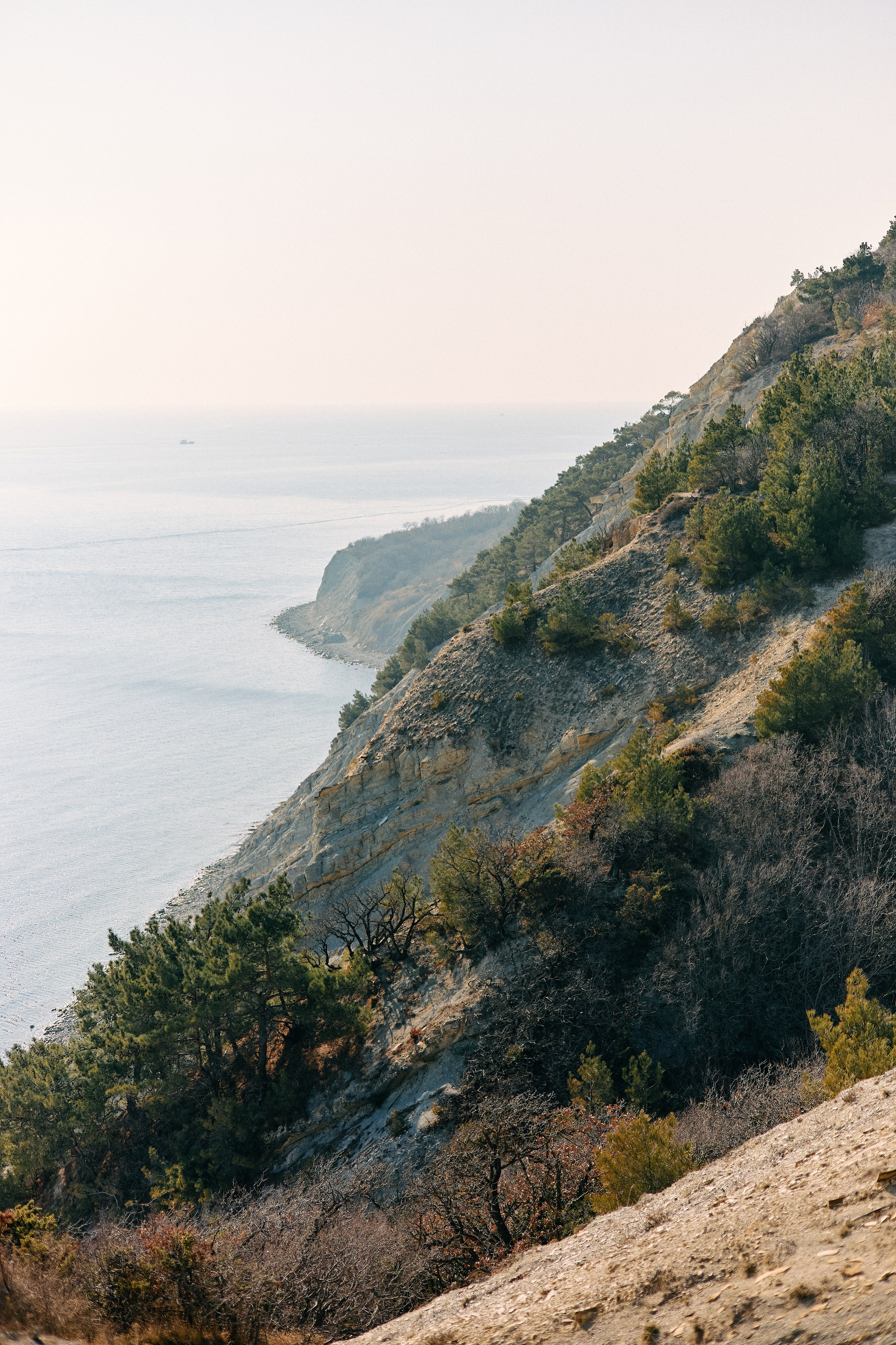 Юг России. Профессиональный Фотограф во Владимире, в Москве и в Суздале — Полина Романычева