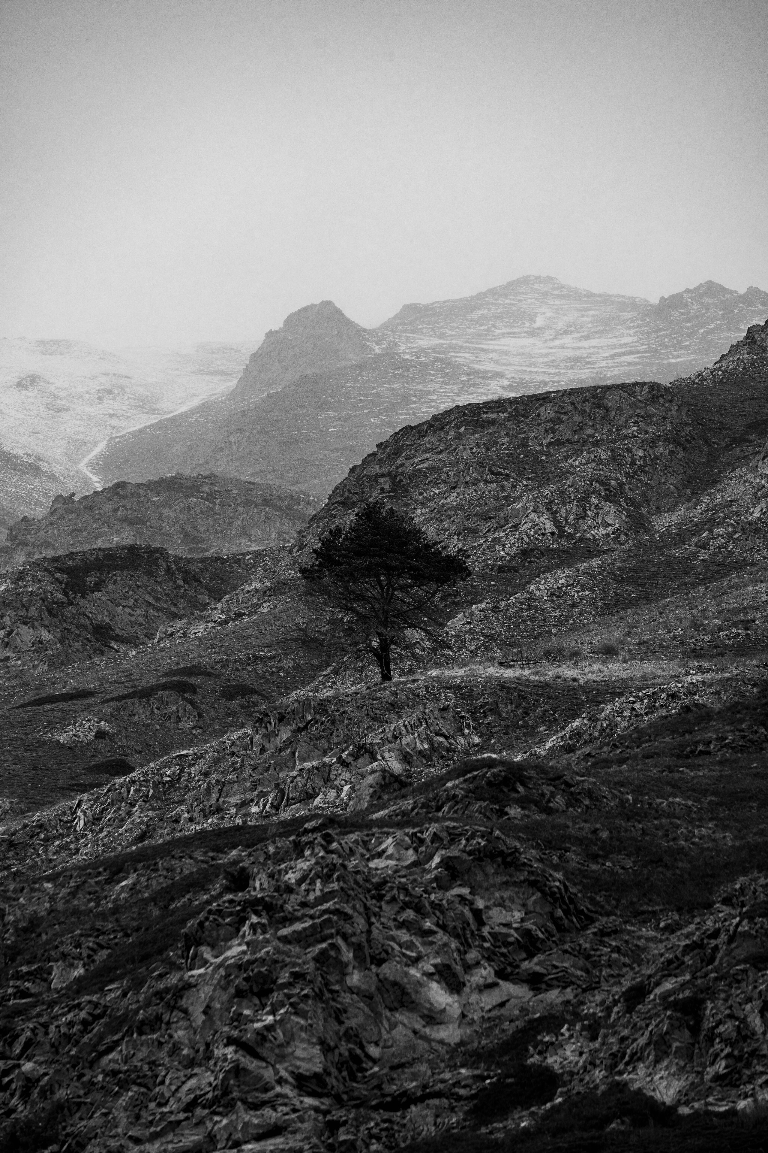 Ч.б. фотографии. Фотографии Лены Соколовой