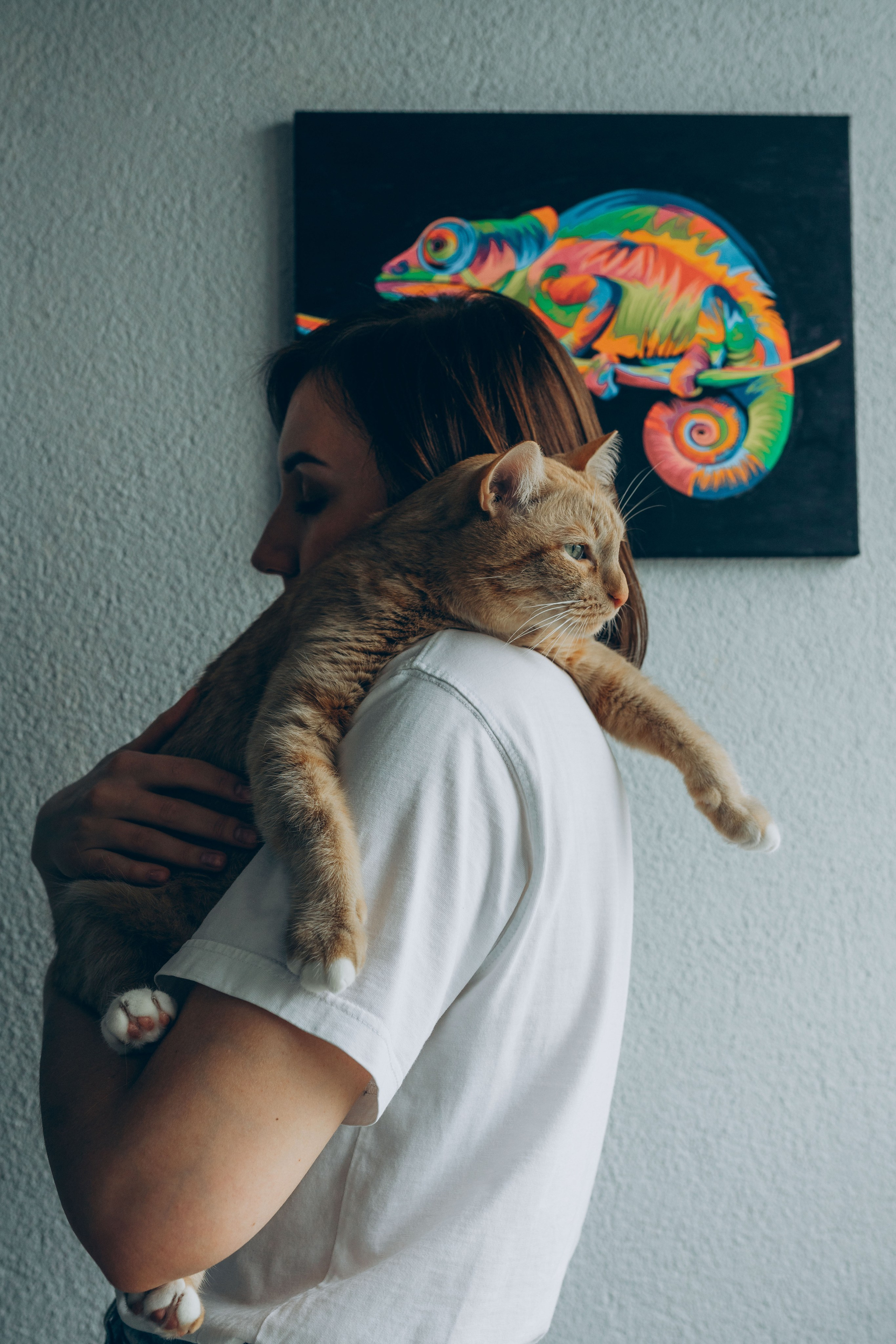 Даша и Брукс. Фотограф анималист в Спб недорого Олеся Майорова