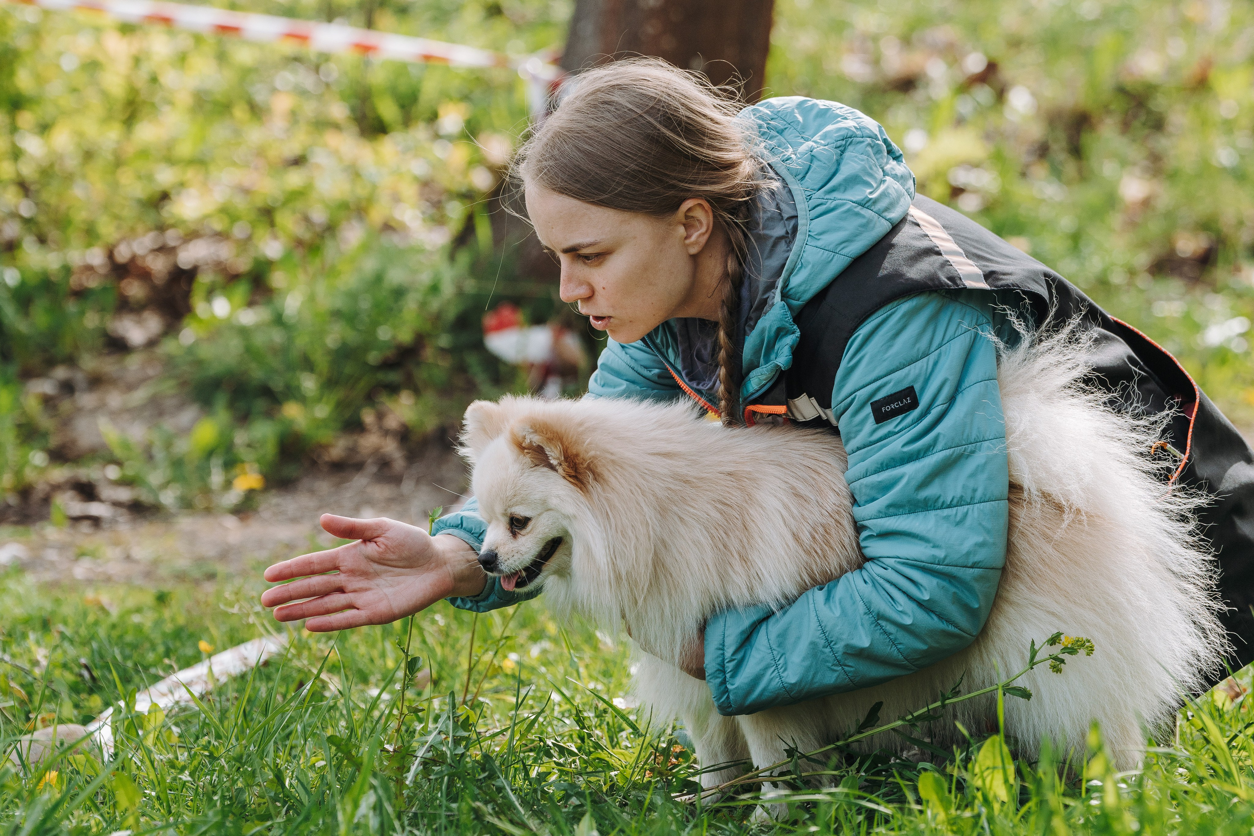 Соревнования по ноузворку в Лосево. Фотограф анималист в Спб недорого Олеся Майорова