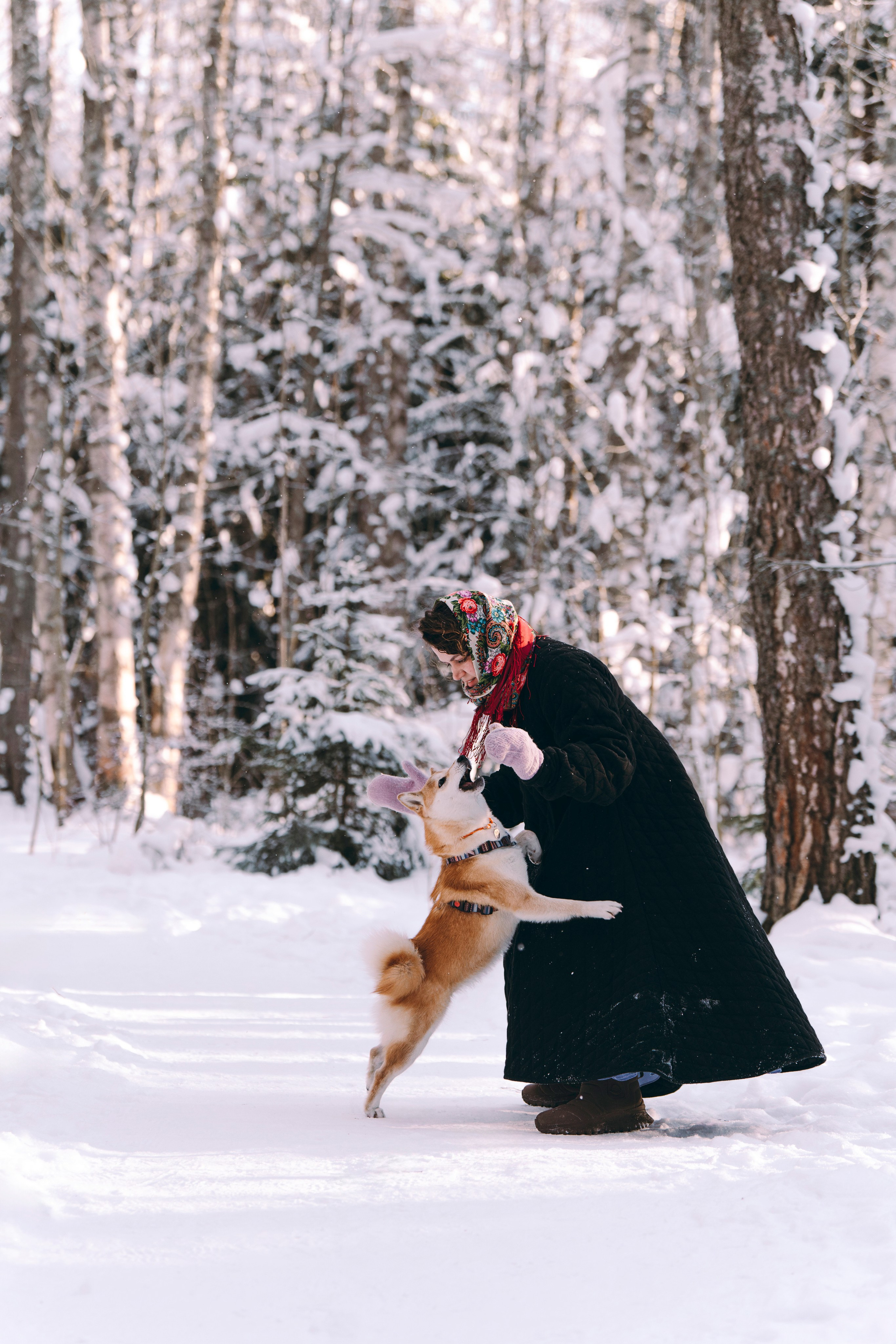Каори, Анна и Антон. Фотограф анималист в Спб недорого Олеся Майорова