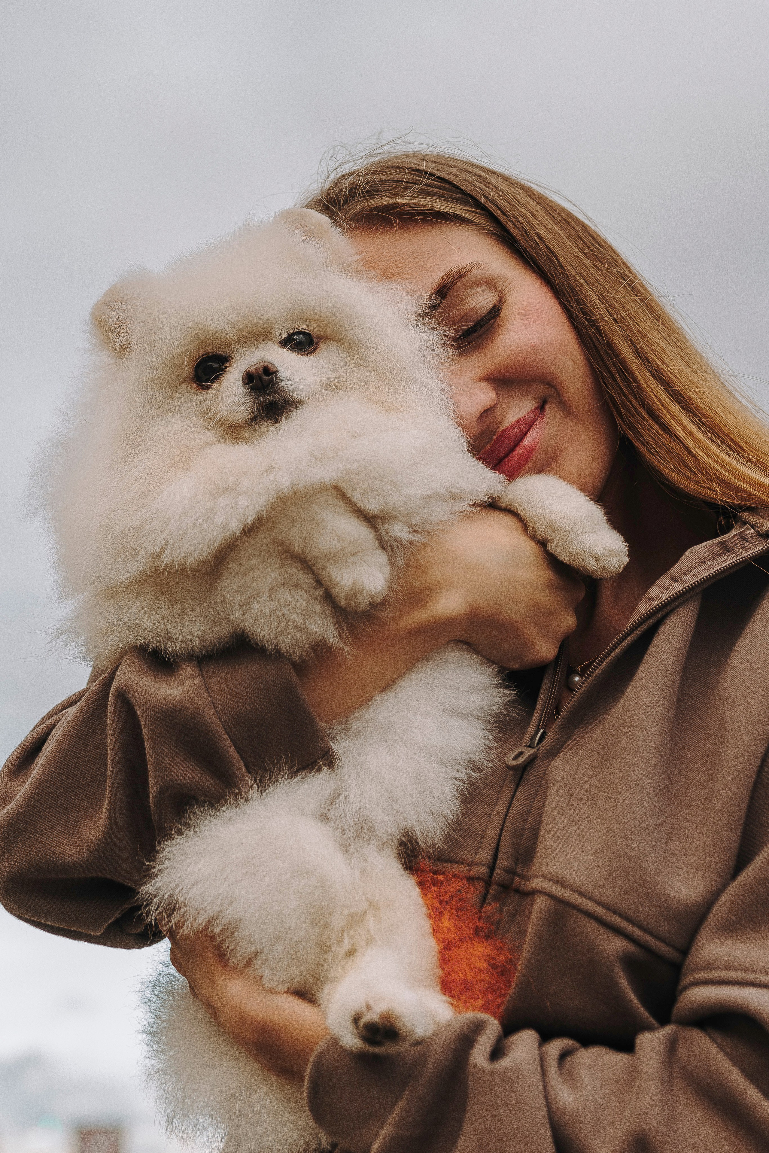 Фотосессия с померанским шпицем. Фотограф анималист в Спб недорого Олеся Майорова