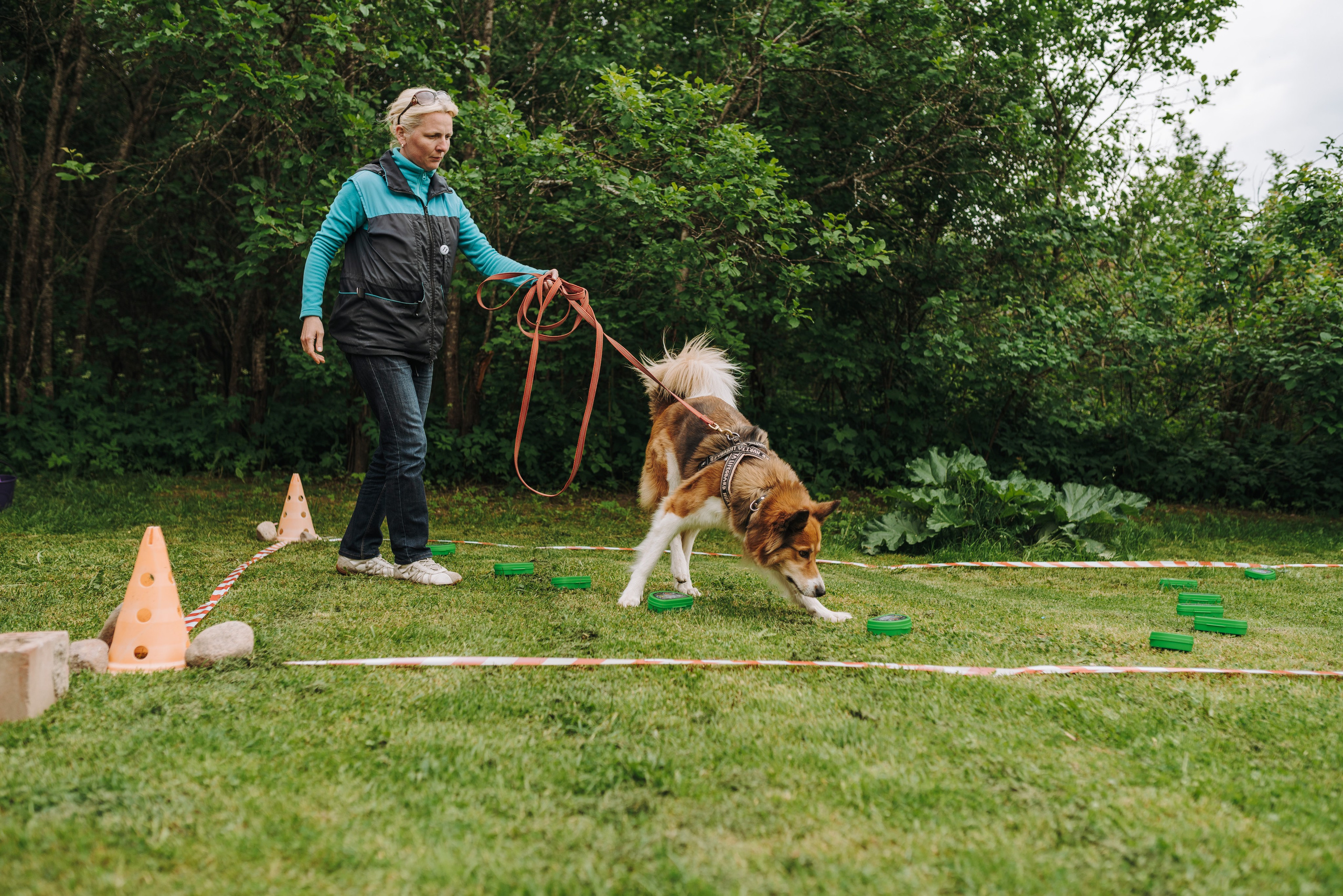 Соревнования по ноузворку. Фотограф анималист в Спб недорого Олеся Майорова
