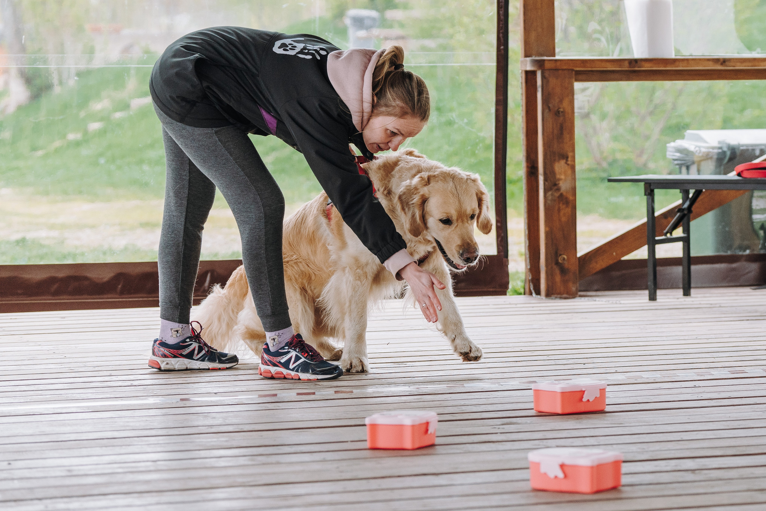 Соревнования по ноузворку в Лосево. Фотограф анималист в Спб недорого Олеся Майорова