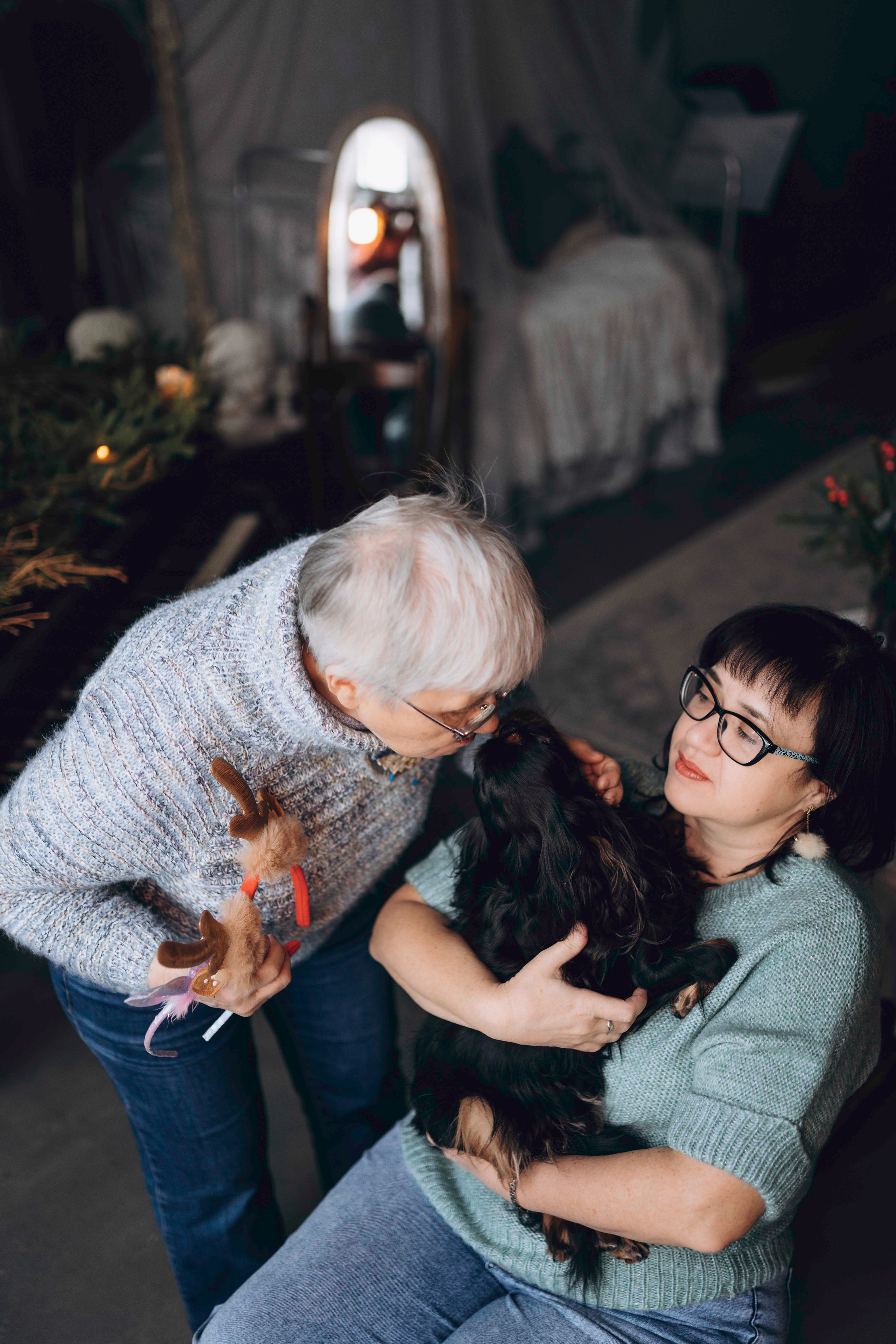 Ариша и её семья. Фотограф анималист в Спб недорого Олеся Майорова