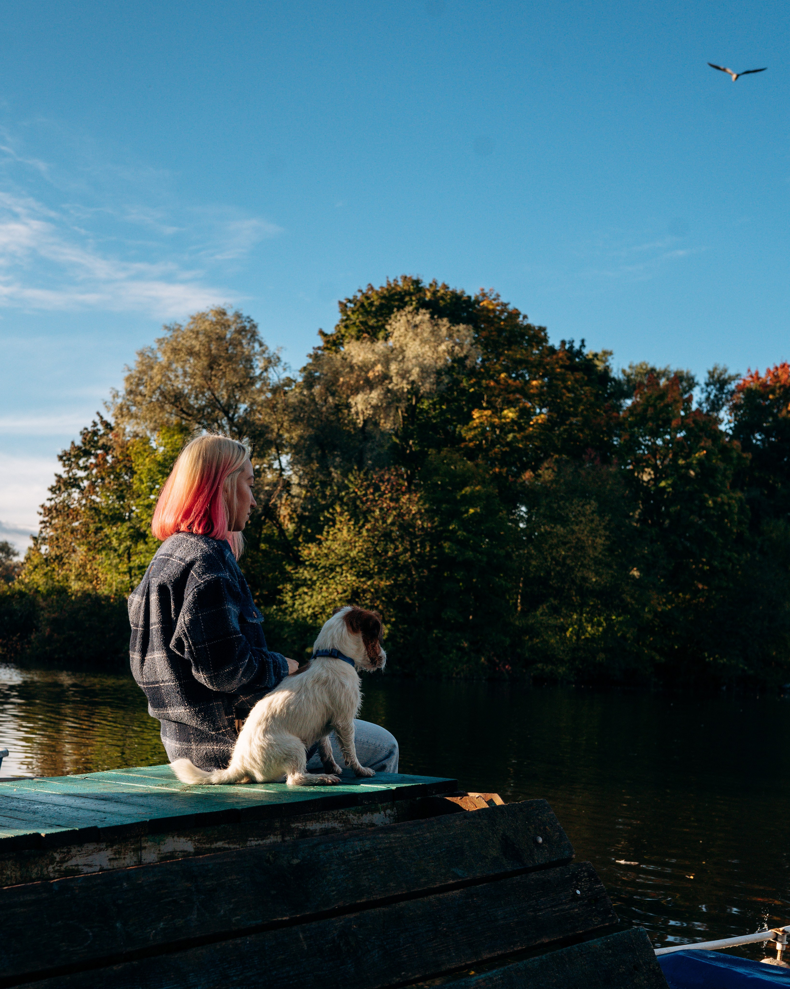 Фотосессия с маленькой собакой Спб. Фотограф анималист в Спб недорого Олеся Майорова