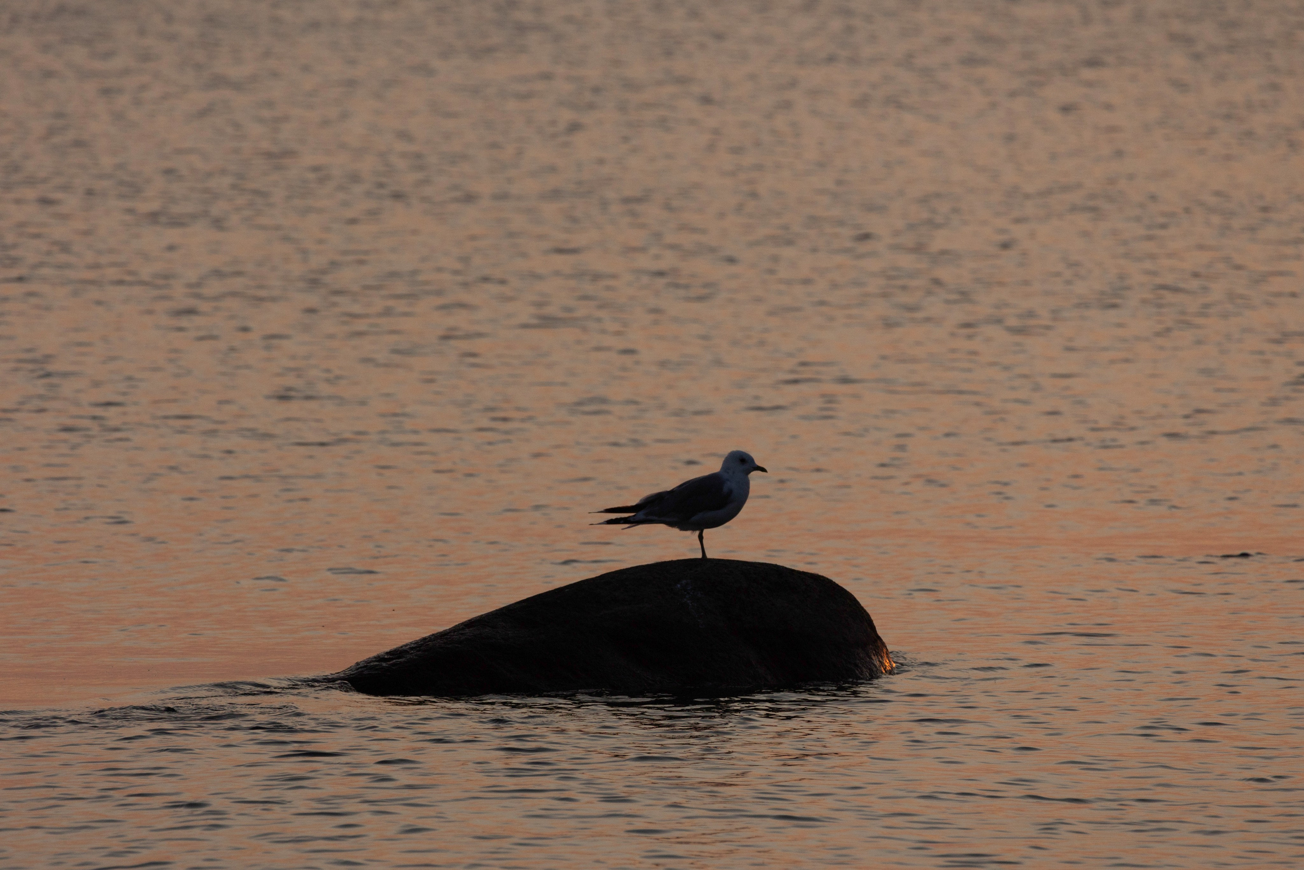 Балтийское море