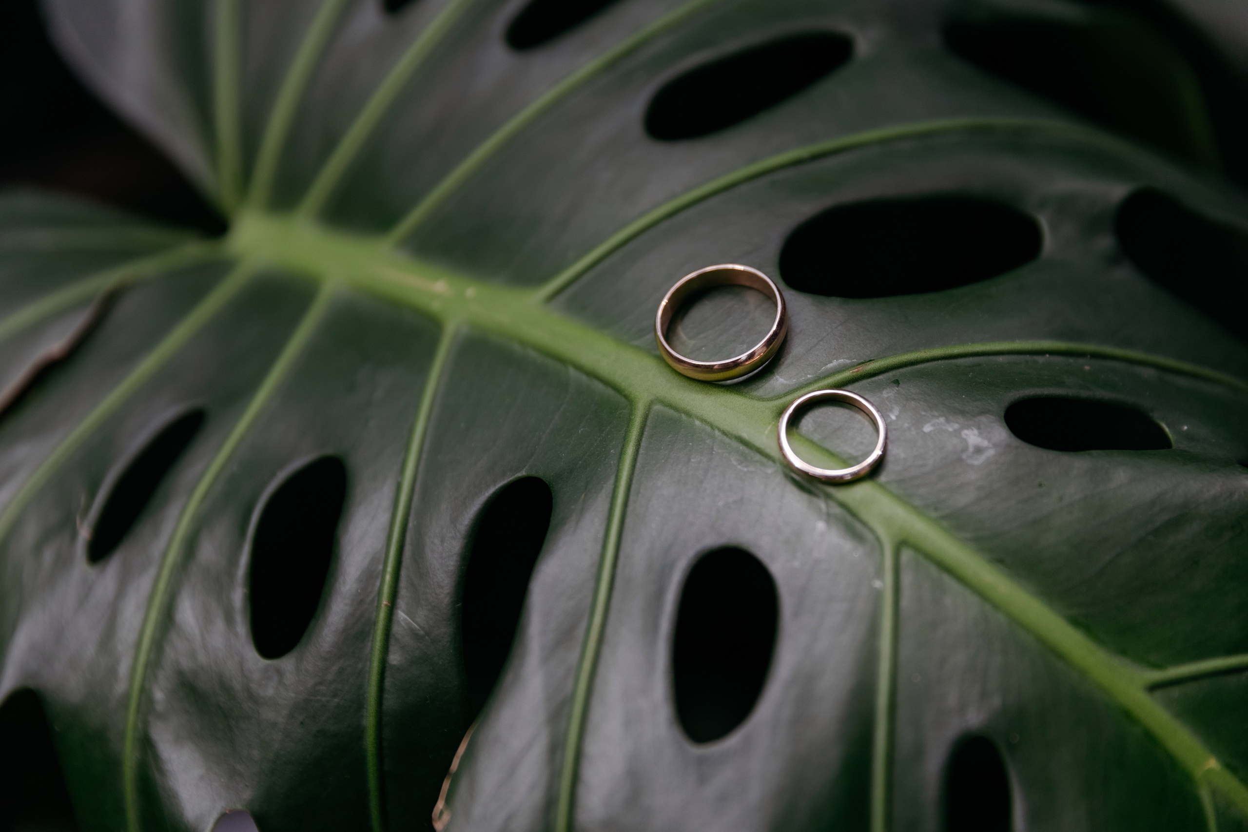 Кроме чувств, ничто не способно излечить душу, равно как ничто, кроме души, не способно излечить чувства. Свадебный фотограф в Санкт-Петербурге