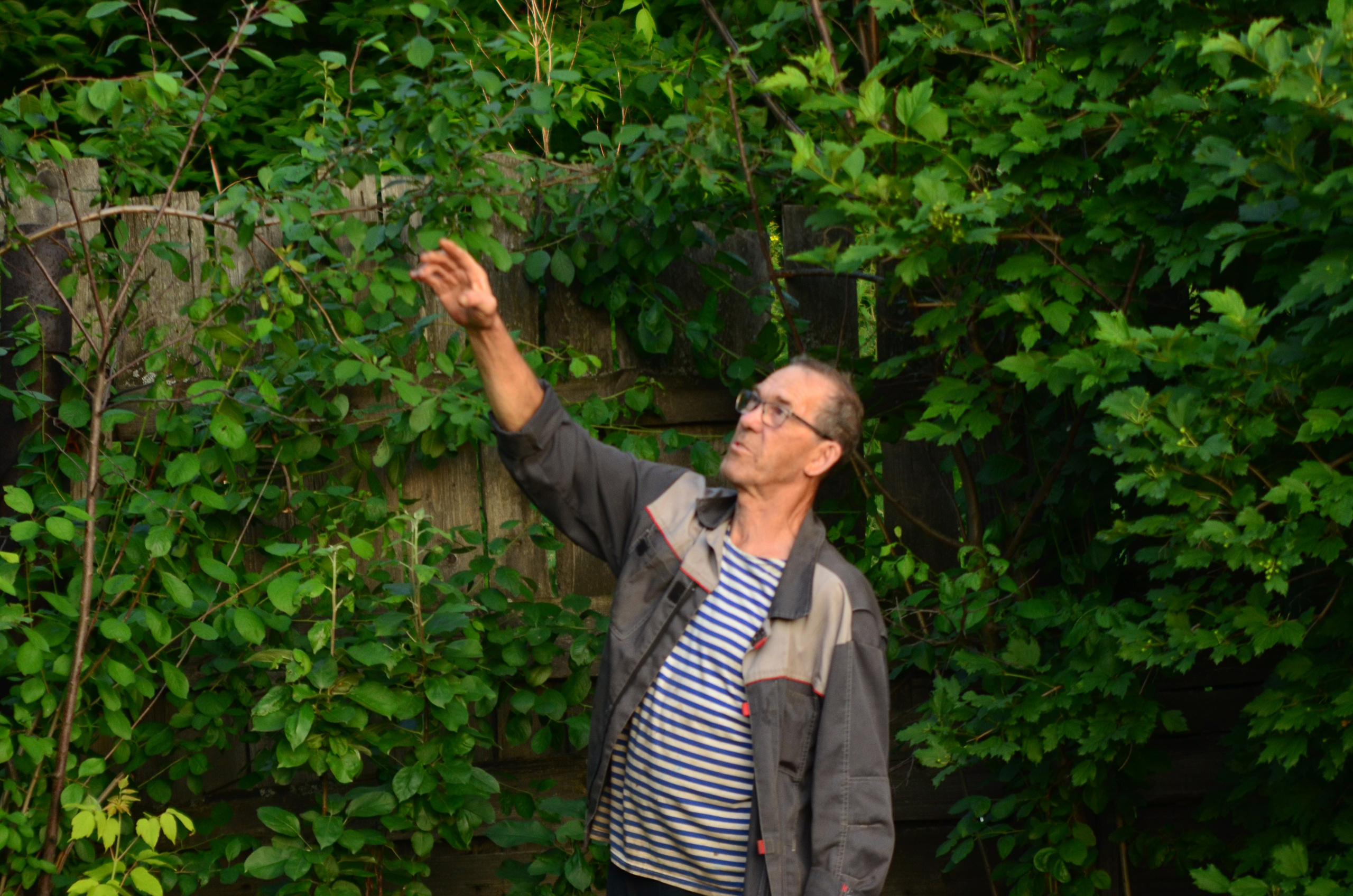 Дары природы. Фотограф viktor viktor