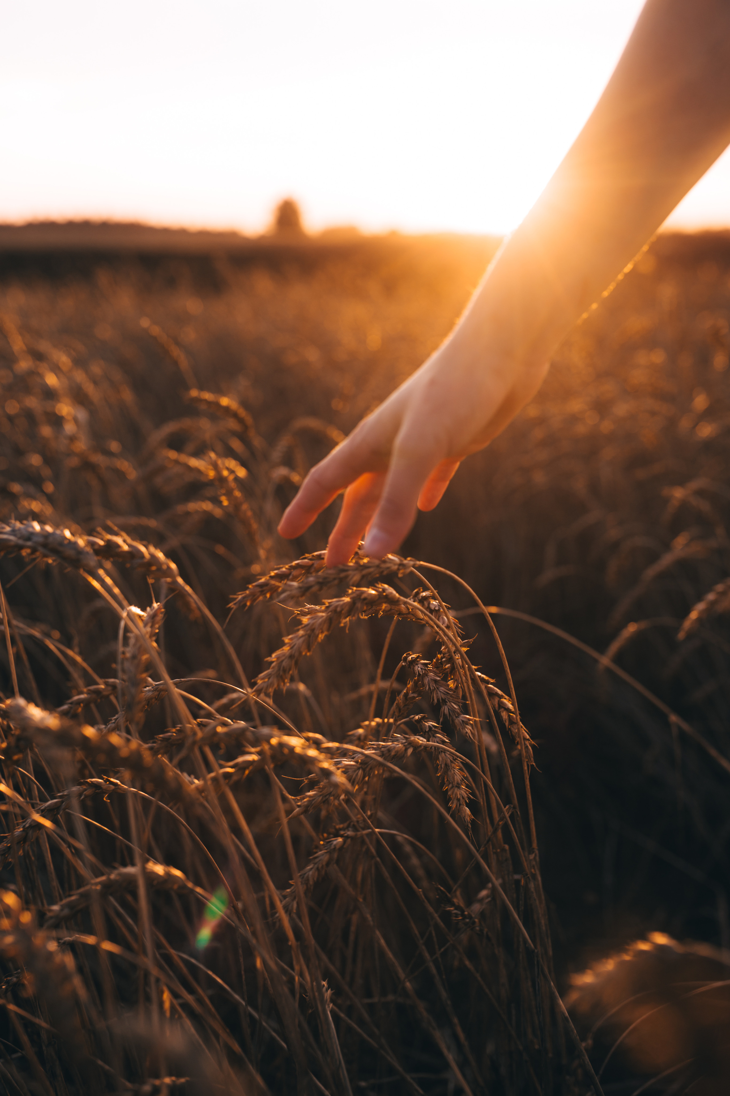 Фотосессия в Екатеринбурге. Свадебный фотограф в Екатеринбурге Грибанова Екатерина