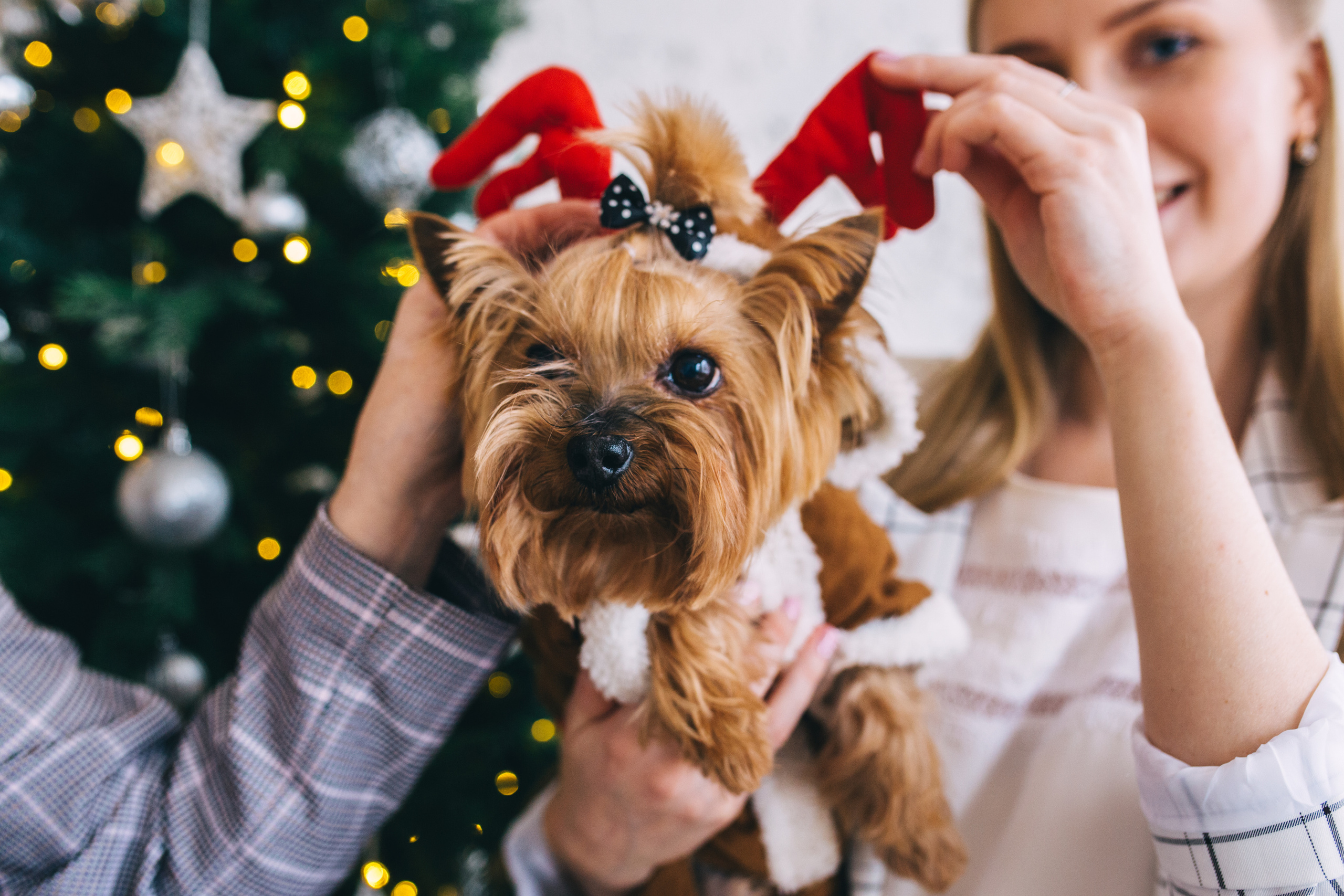 Фотосессия в Екатеринбурге. Свадебный фотограф в Екатеринбурге Грибанова Екатерина