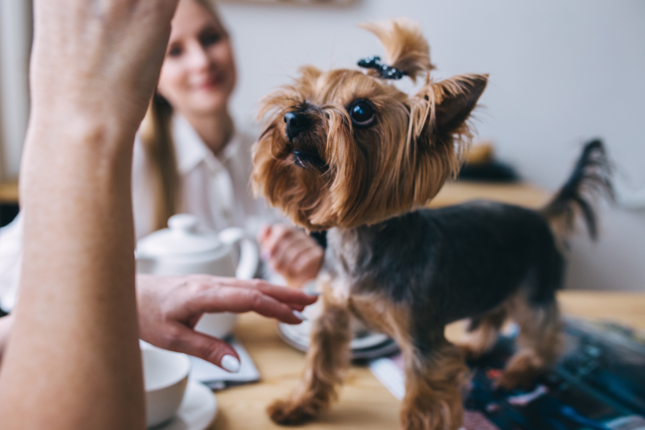 Фотосессия в Екатеринбурге. Свадебный фотограф в Екатеринбурге Грибанова Екатерина