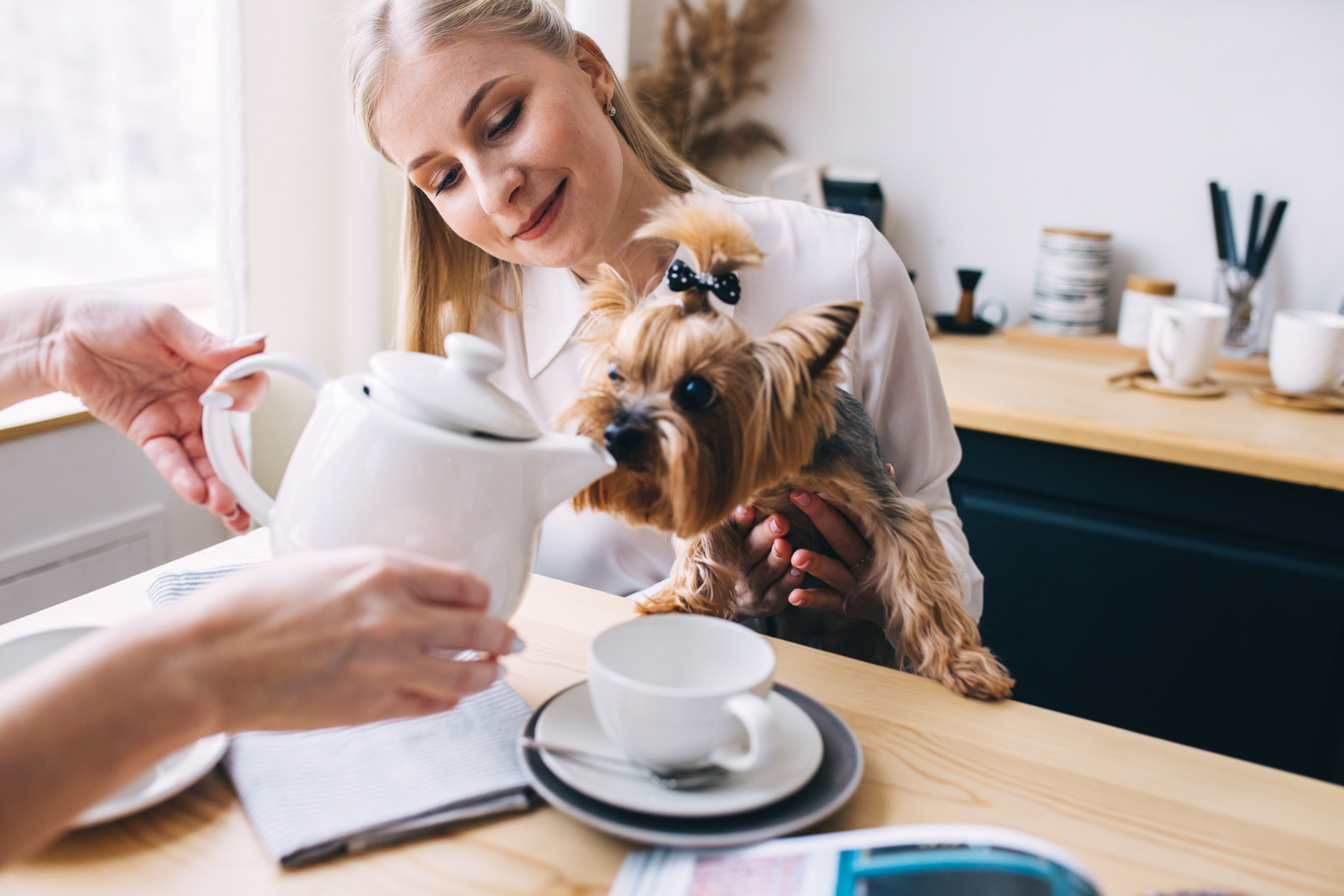 Фотосессия в Екатеринбурге. Свадебный фотограф в Екатеринбурге Грибанова Екатерина