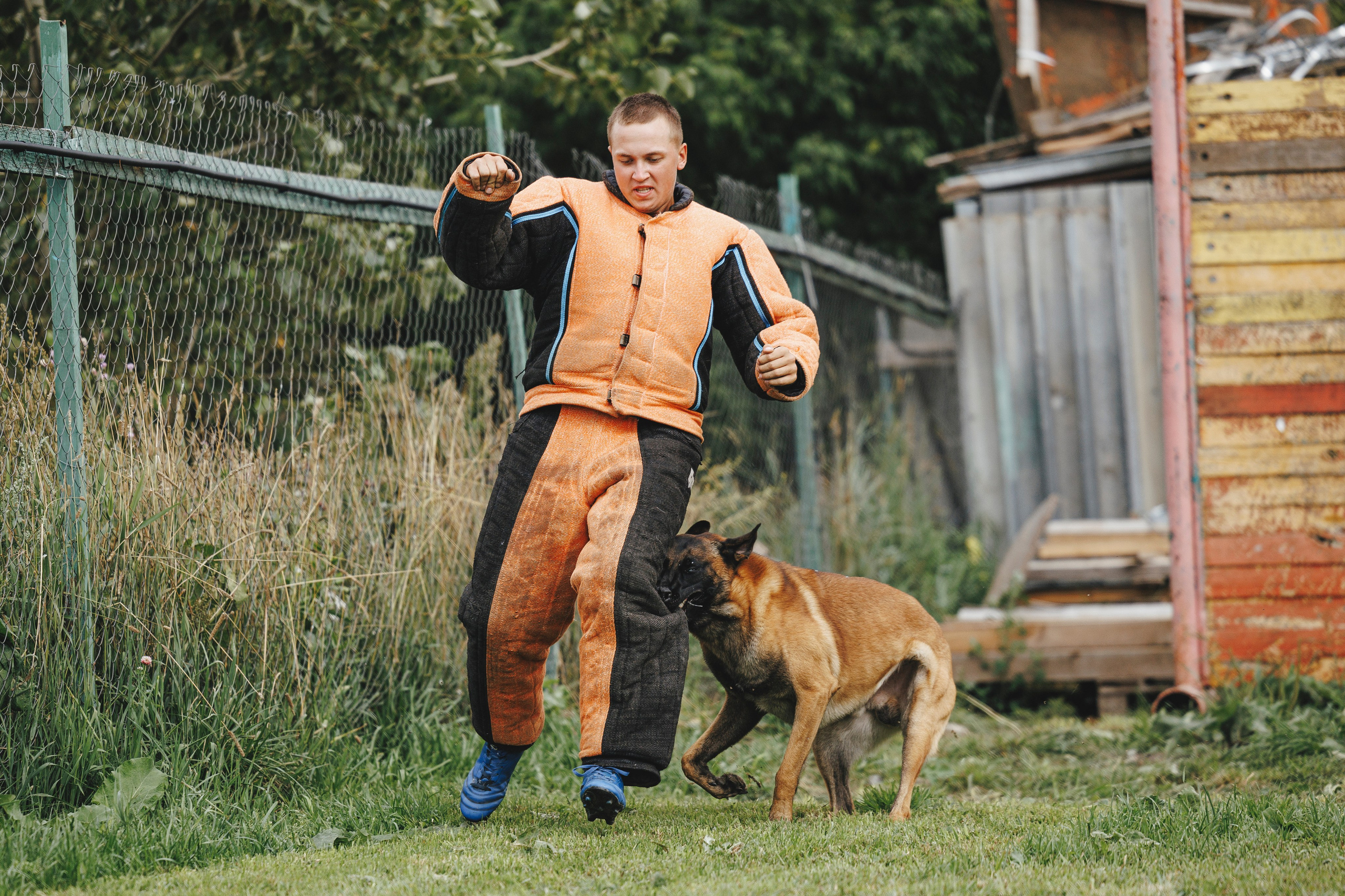 08.08.25-10.08.25 ЧР по мондьорингу г. Вологда. Фотограф-анималист Анна Маринич
