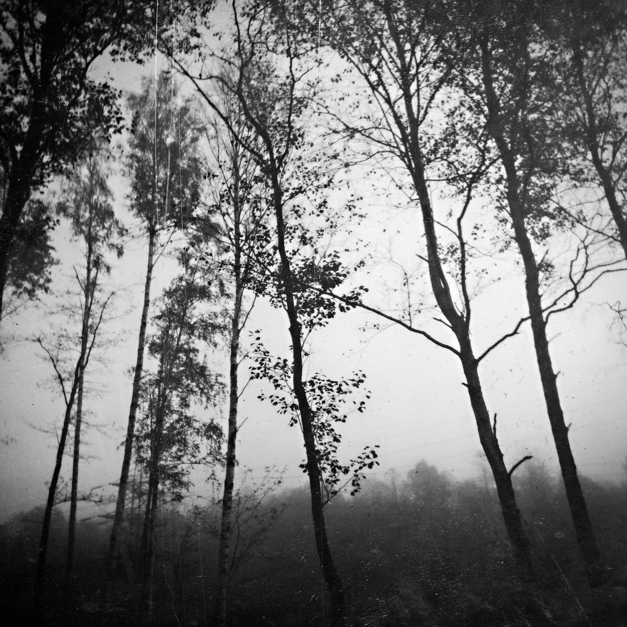 Maria Nemm, [22.06.21 16:39]Morning river  lo-fi (printing + chemical processing, scanned afterwards ) experimental texture for sale for your music album or something)Available for purchase. Price 80 euro DM me)Ps. I sell it once with a permission to use it. ...#formusicians #texturesforsale #albumdesign #albumartforsale #photoforsale #darkart #postmetal #postrock #ambient  #marianemm #atmosphericblackmetal #atmosphericmusic #abstractart #lofi #noise  #experimental #scanning #landscape #scratch #texturemusic #handmadetexture #albumcover #forestphotography #blackandwhite #bw_perfect