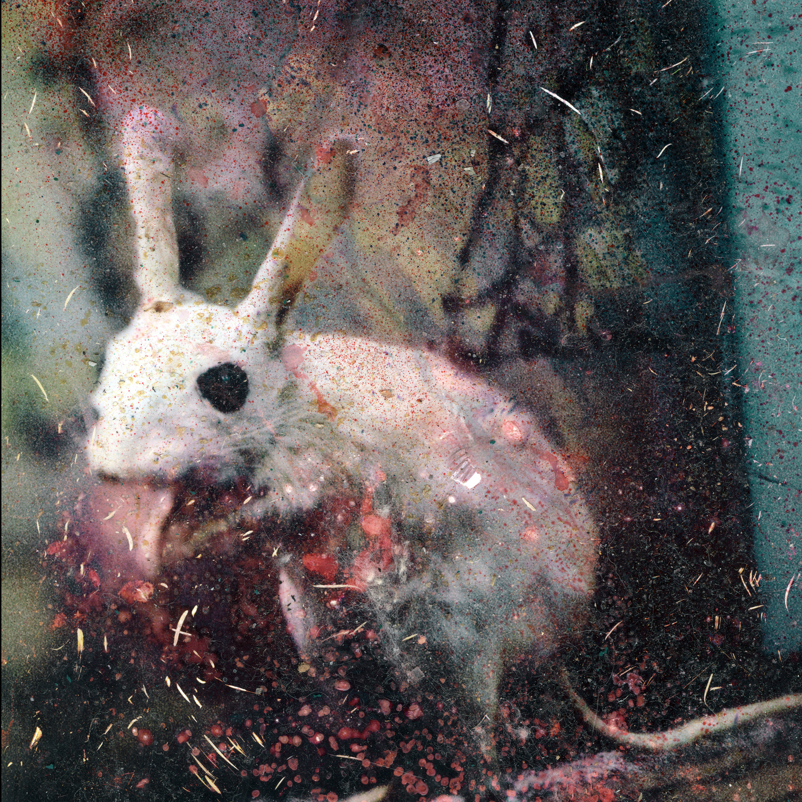 Maria Nemm, [22.06.21 16:39]Morning river  lo-fi (printing + chemical processing, scanned afterwards ) experimental texture for sale for your music album or something)Available for purchase. Price 80 euro DM me)Ps. I sell it once with a permission to use it. ...#formusicians #texturesforsale #albumdesign #albumartforsale #photoforsale #darkart #postmetal #postrock #ambient  #marianemm #atmosphericblackmetal #atmosphericmusic #abstractart #lofi #noise  #experimental #scanning #landscape #scratch #texturemusic #handmadetexture #albumcover #forestphotography #blackandwhite #bw_perfect