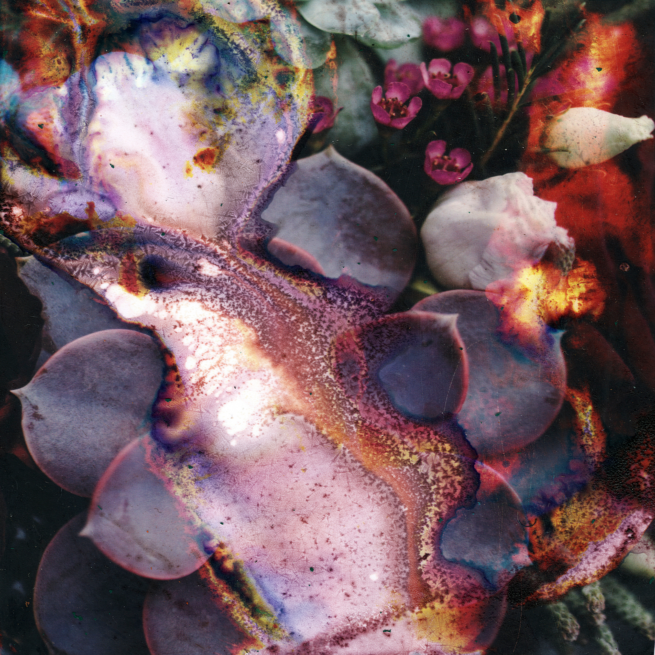 Maria Nemm, [22.06.21 16:39]Morning river  lo-fi (printing + chemical processing, scanned afterwards ) experimental texture for sale for your music album or something)Available for purchase. Price 80 euro DM me)Ps. I sell it once with a permission to use it. ...#formusicians #texturesforsale #albumdesign #albumartforsale #photoforsale #darkart #postmetal #postrock #ambient  #marianemm #atmosphericblackmetal #atmosphericmusic #abstractart #lofi #noise  #experimental #scanning #landscape #scratch #texturemusic #handmadetexture #albumcover #forestphotography #blackandwhite #bw_perfect