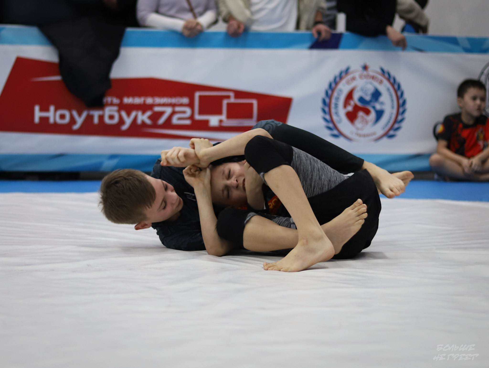 GORILLA PRIDE CUP. Больше не греет