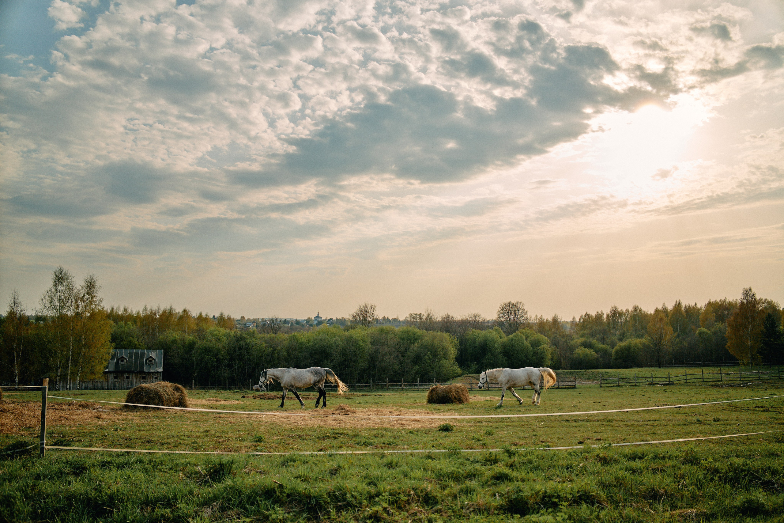 Бутик-отель Поле летом. Профессиональный Фотограф во Владимире, в Москве и в Суздале — Полина Романычева