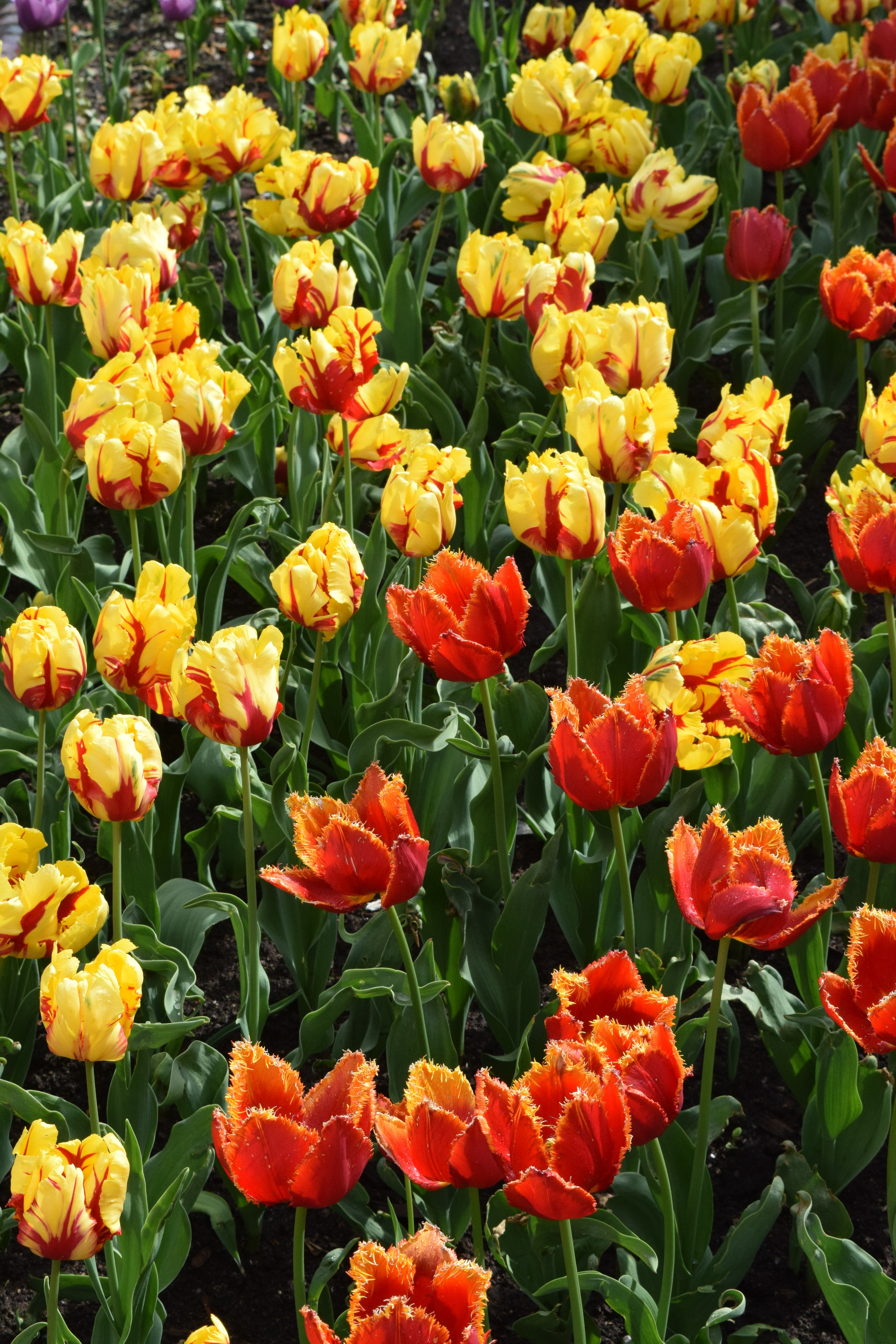 Портретный, семейный фотограф в Москве Евгений Ганимар