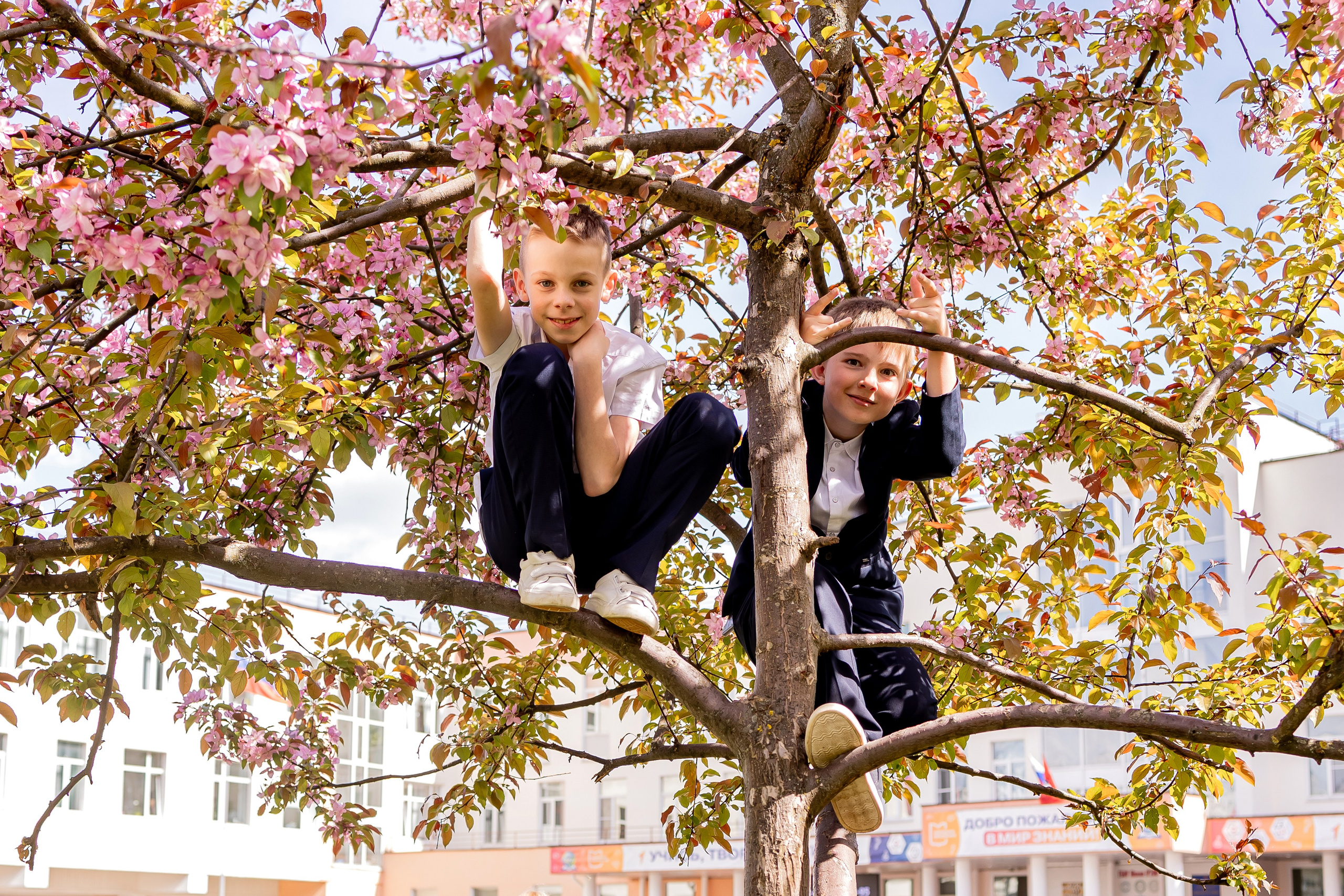 Выпускной в начальной школе на улице. Фотограф и видеограф Москва. Свадебный фотограф, видеограф. Выпускные альбомы. Оживающие альбомы