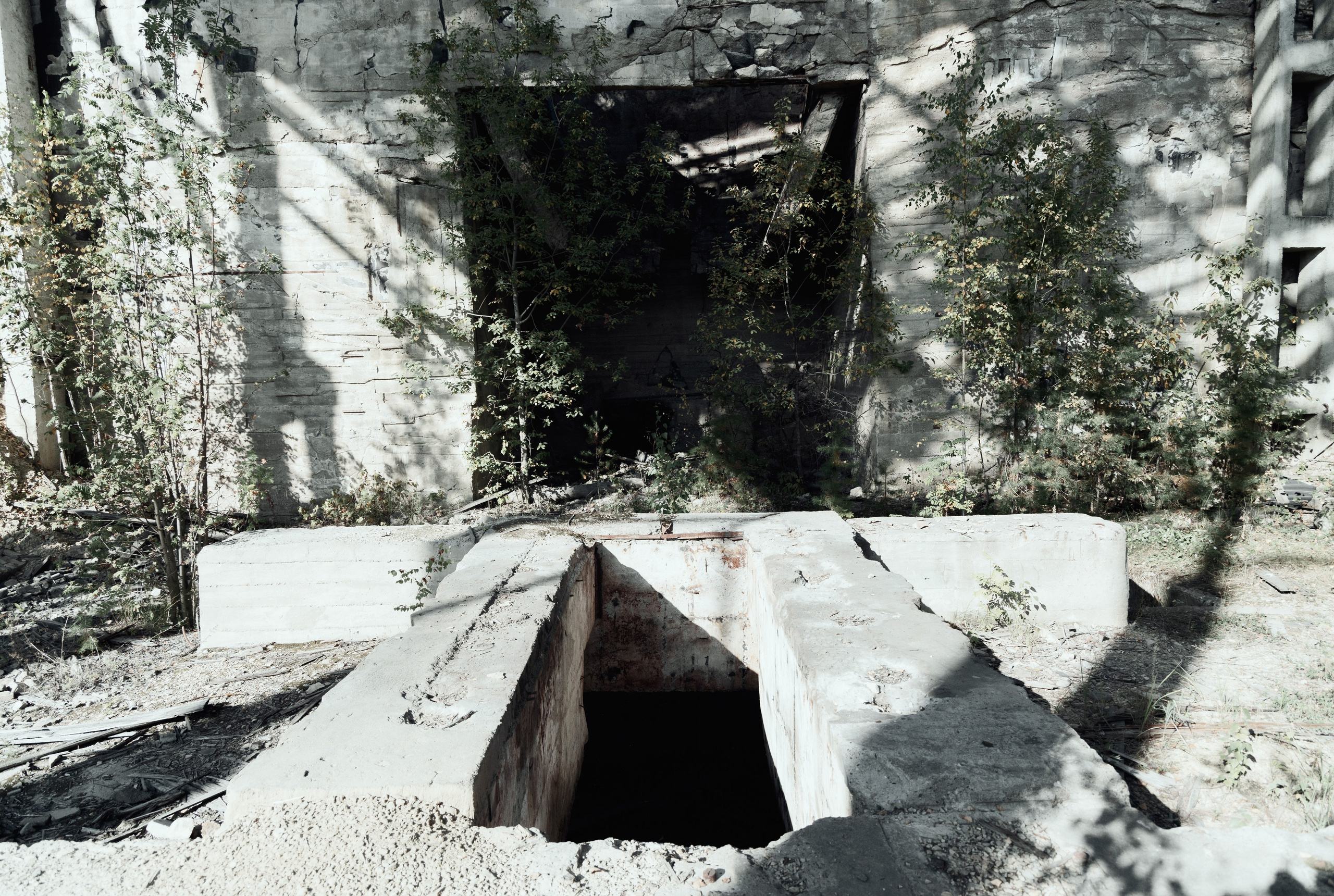 Природа. Фотограф Александр Тихонов