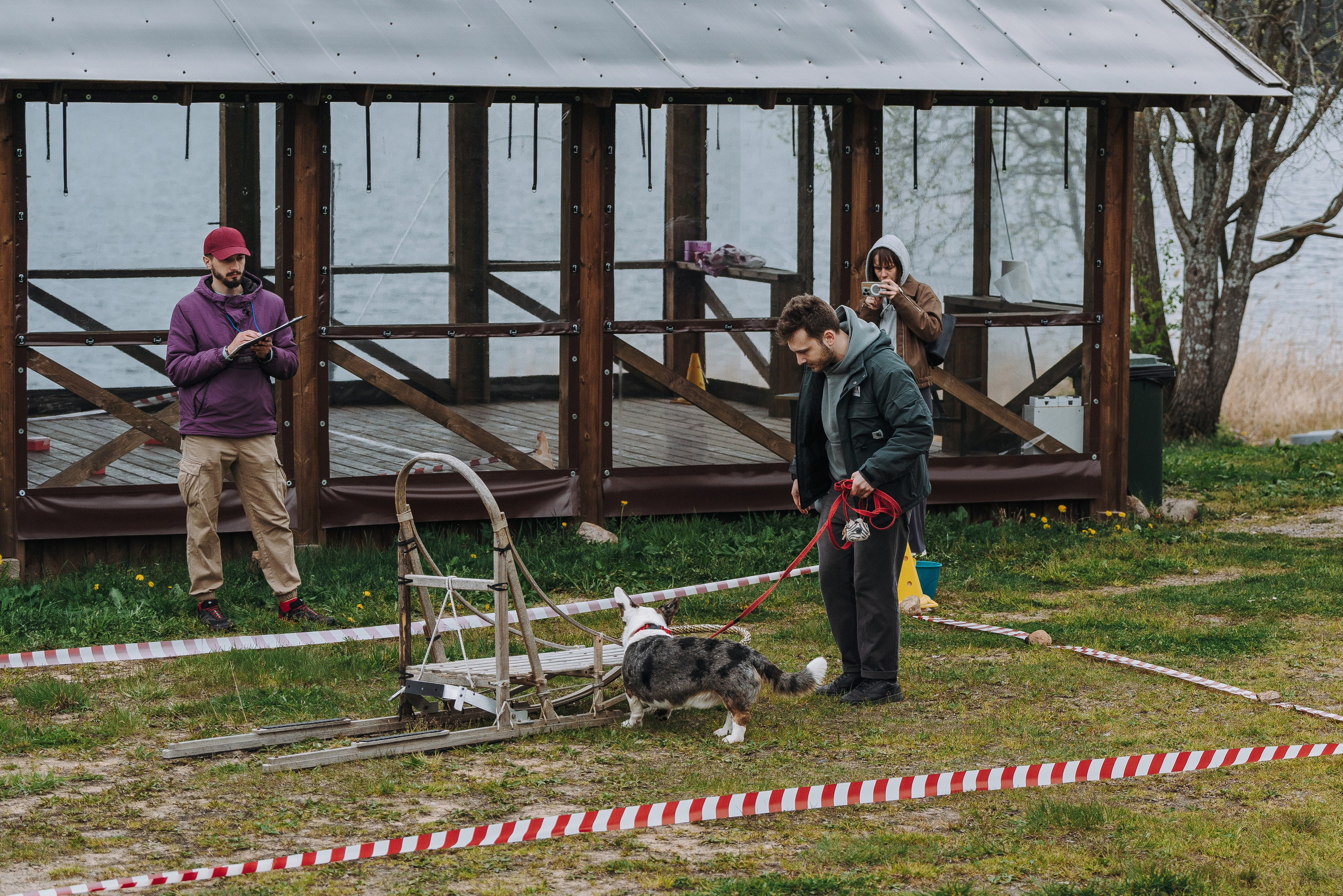 Соревнования по ноузворку в Лосево. Фотограф анималист в Спб недорого Олеся Майорова