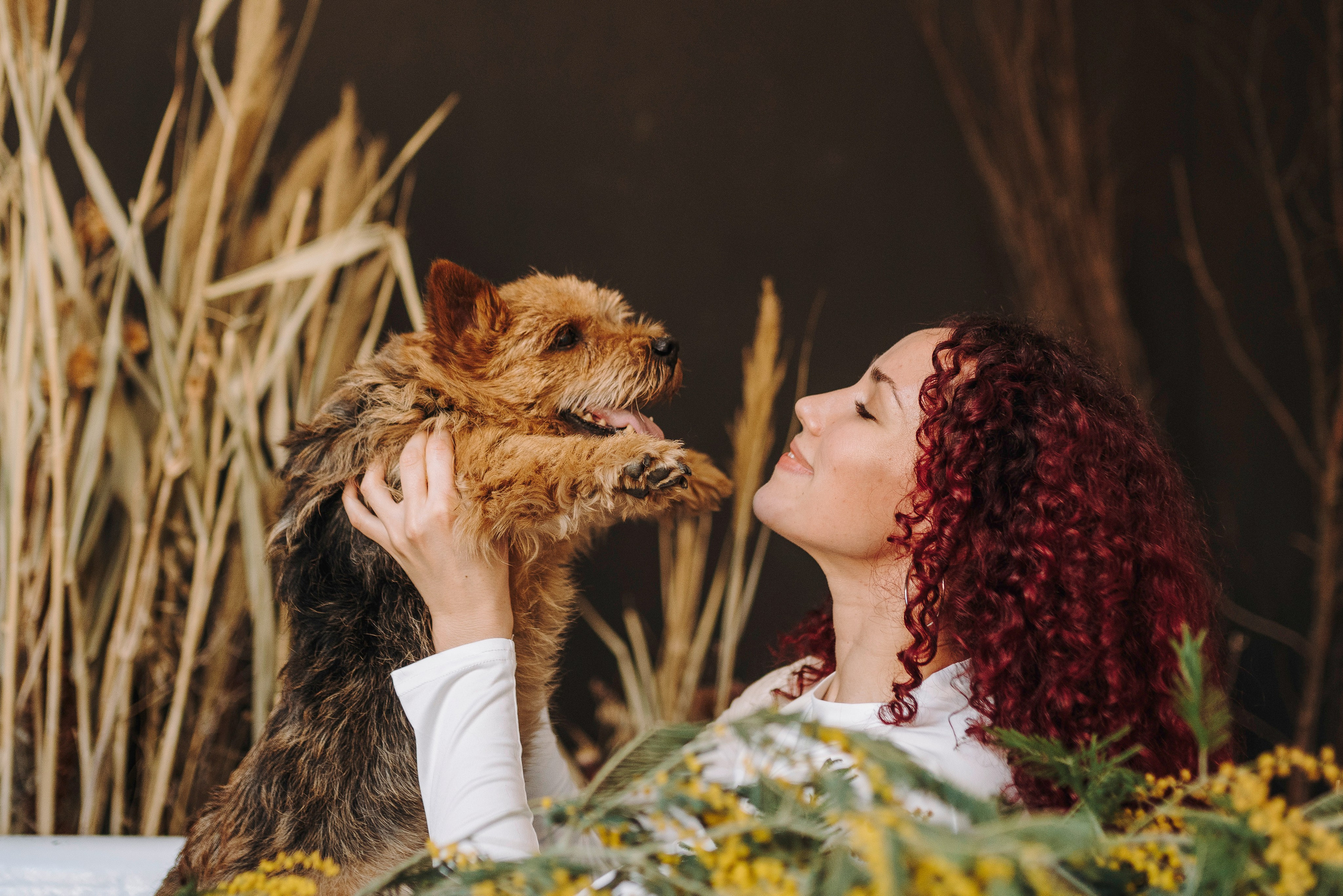 Маша и Рамси. Фотограф анималист в Спб недорого Олеся Майорова