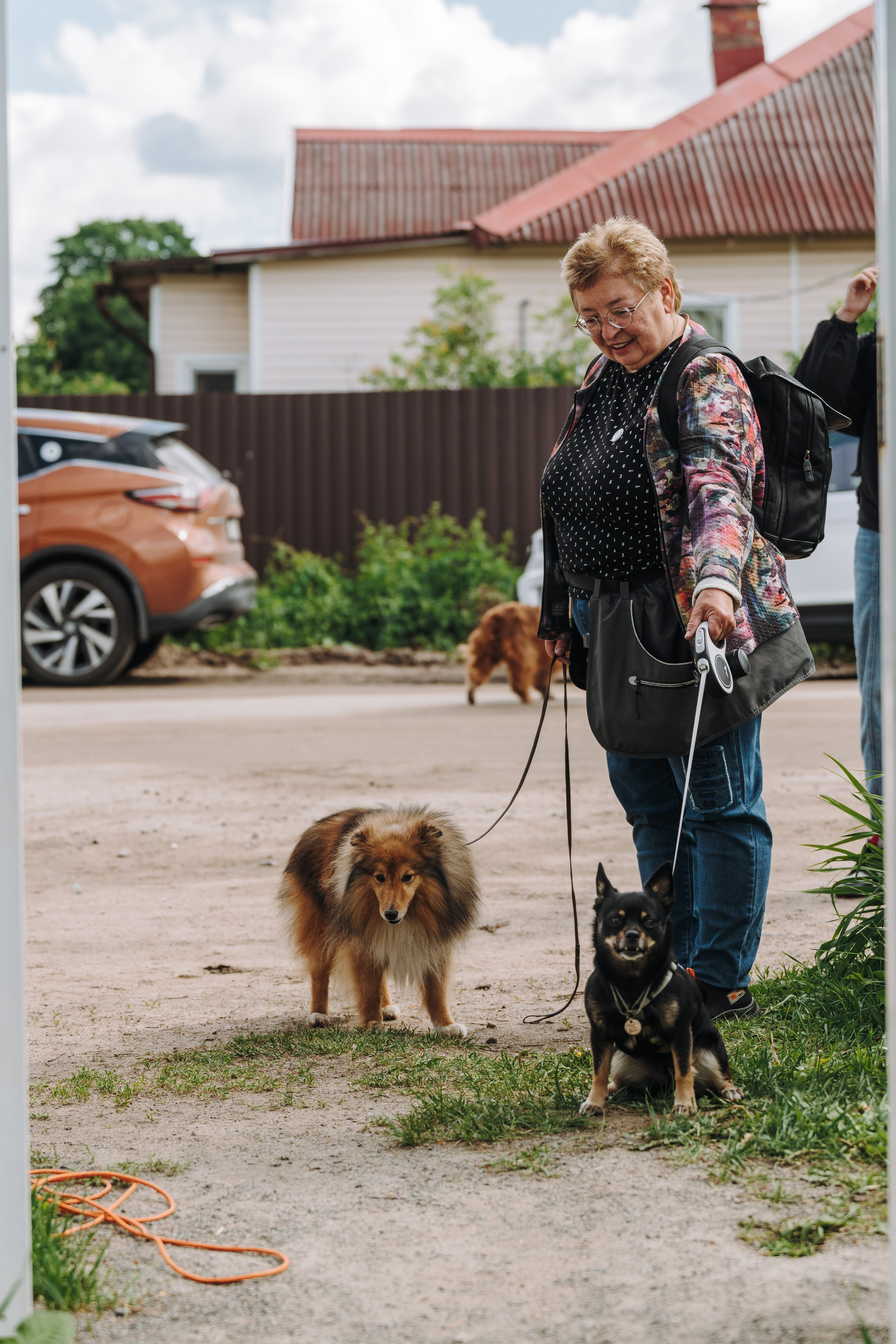Соревнования по ноузворку. Фотограф анималист в Спб недорого Олеся Майорова
