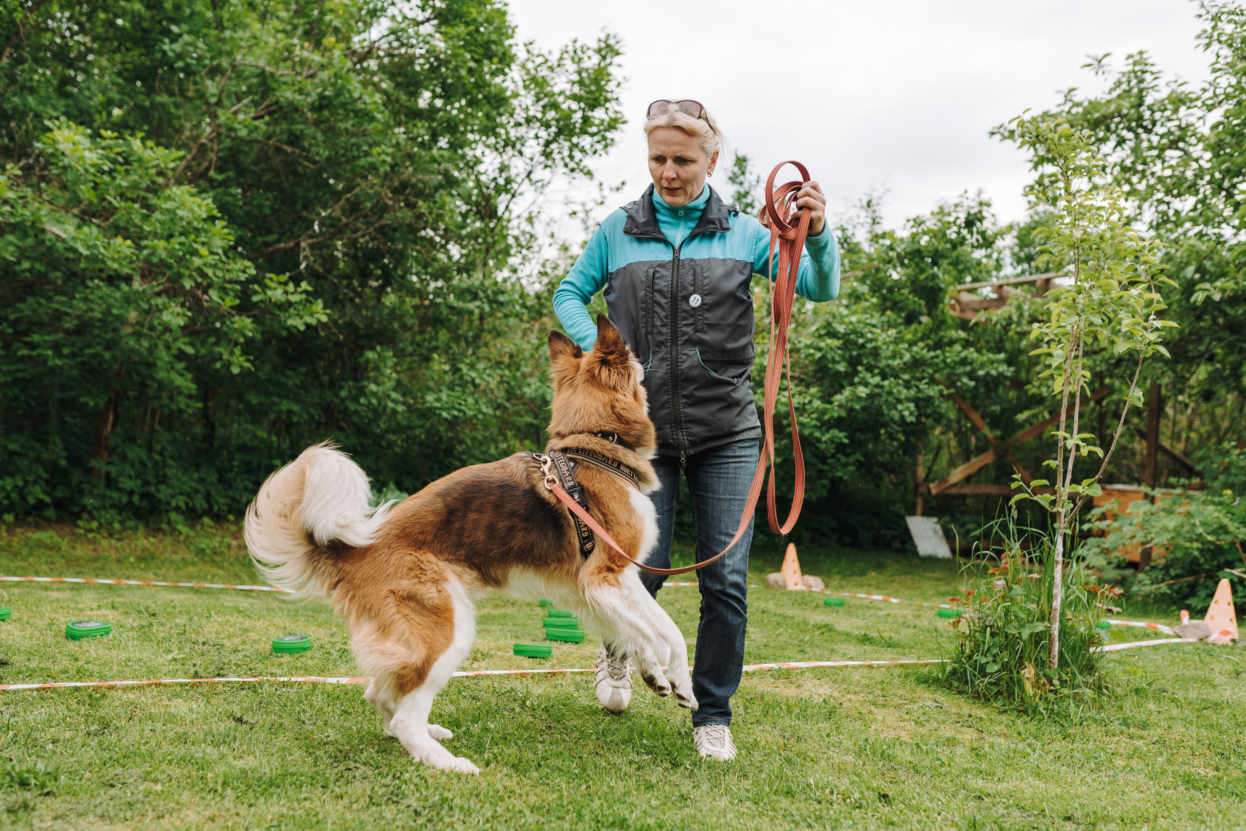 Соревнования по ноузворку. Фотограф анималист в Спб недорого Олеся Майорова