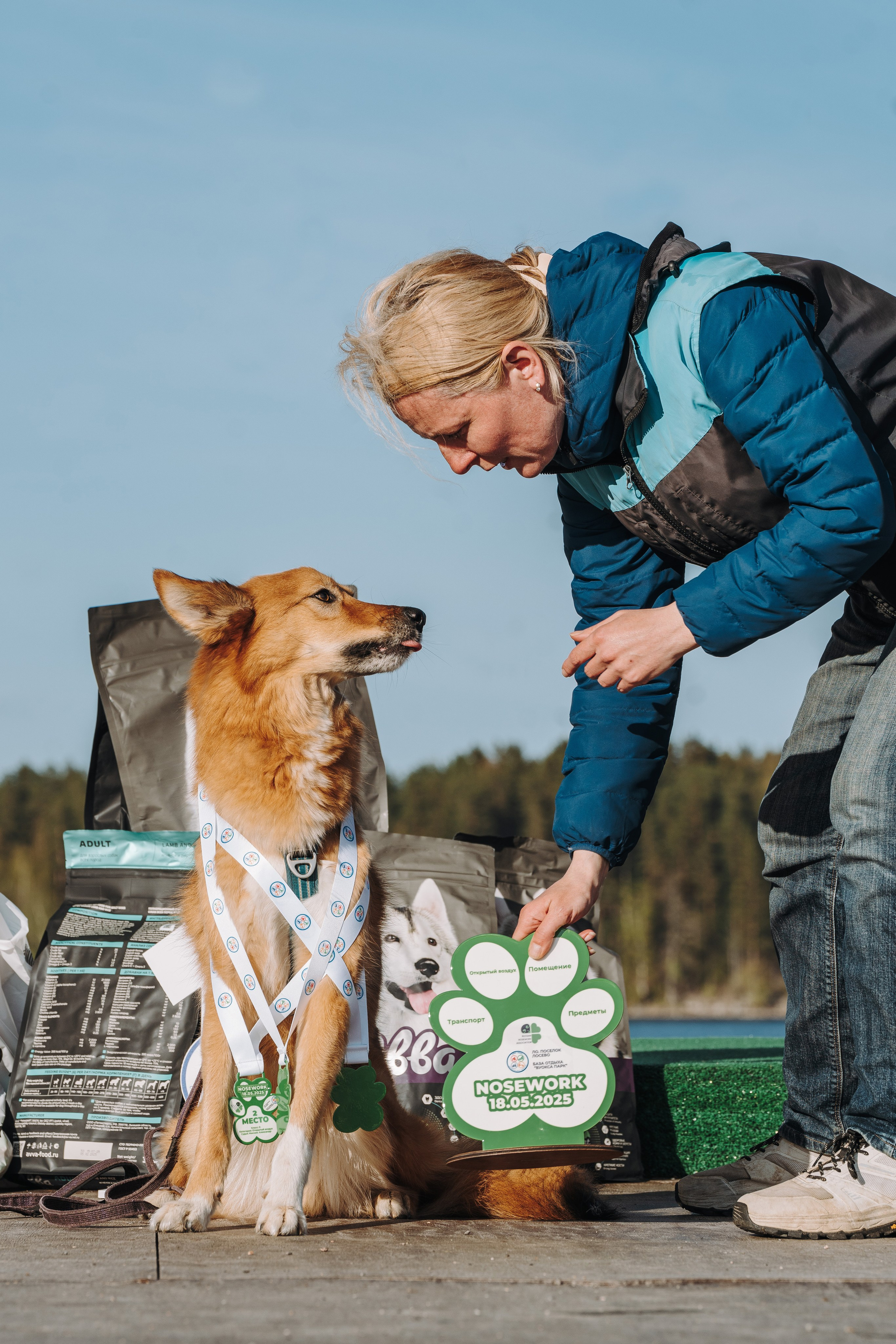 Соревнования по ноузворку в Лосево. Фотограф анималист в Спб недорого Олеся Майорова