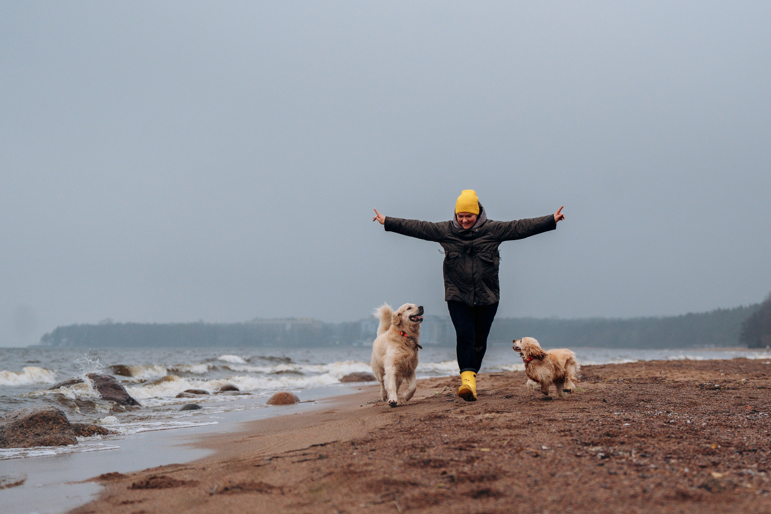 Асти, Крис и Александра. Фотограф анималист в Спб недорого Олеся Майорова