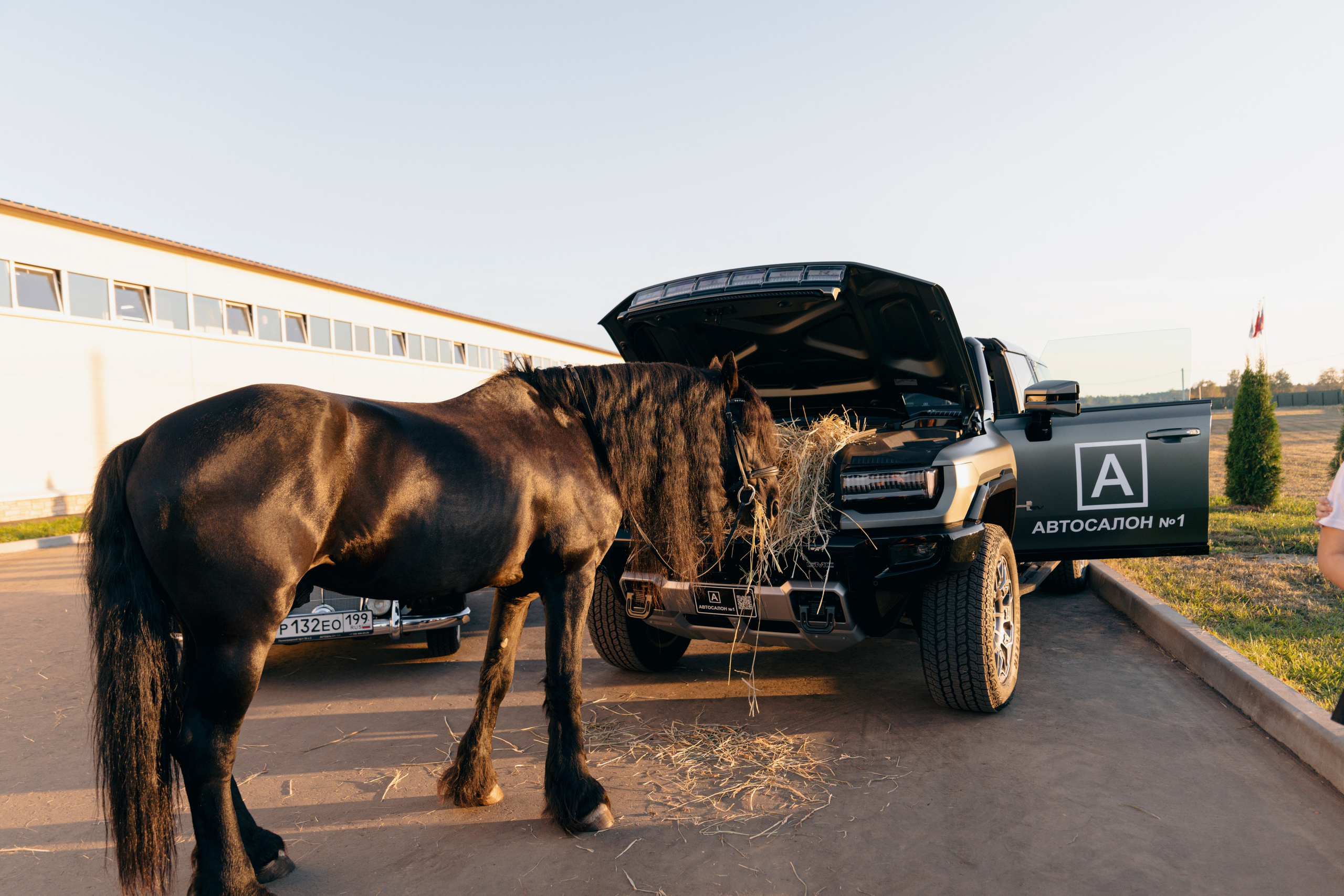 Аукцион. Фотограф Москва Софа Ревчук