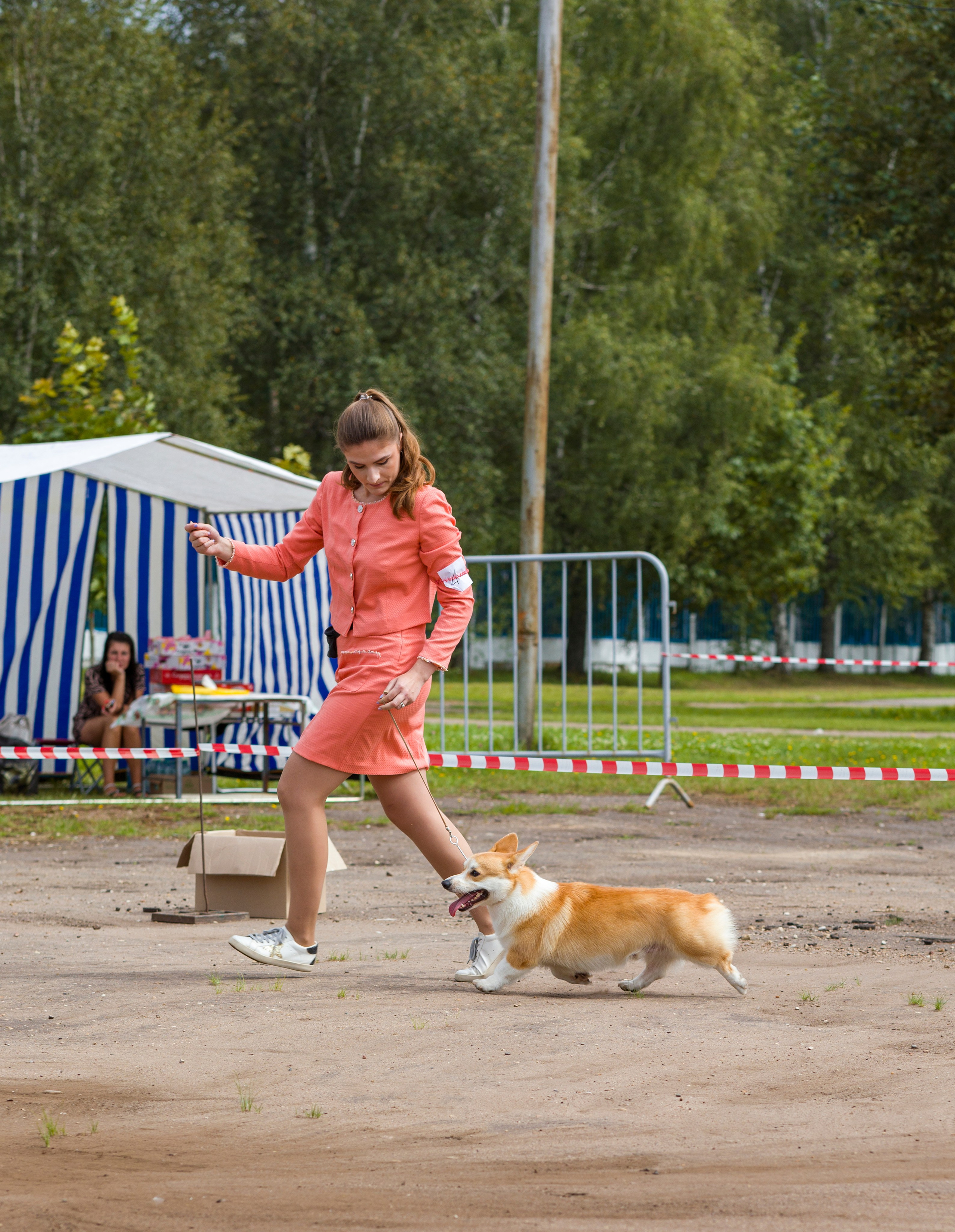 Выставки. Фотограф — анималист Татьяна Ли